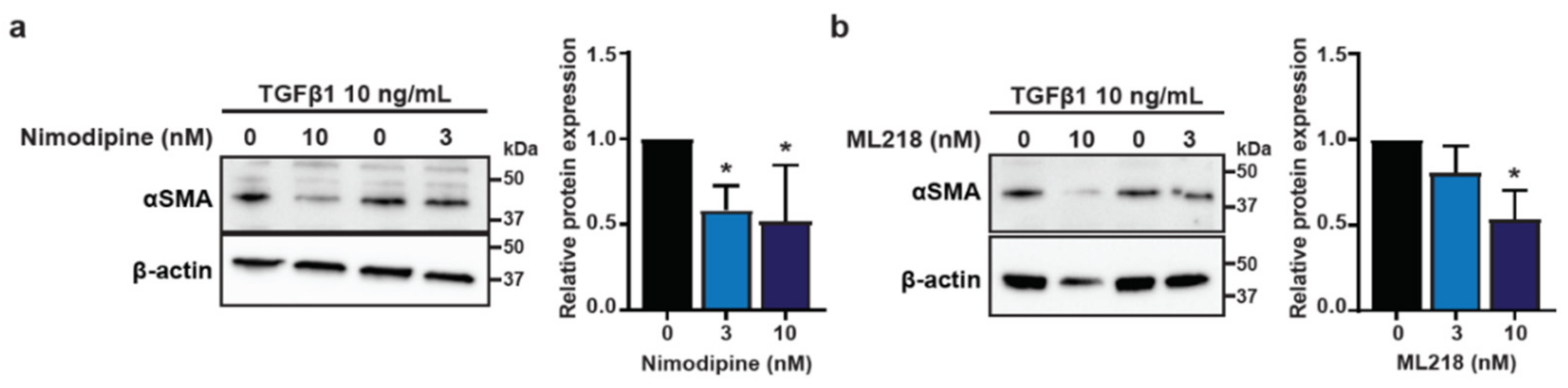Biomedicines 09 00680 g005