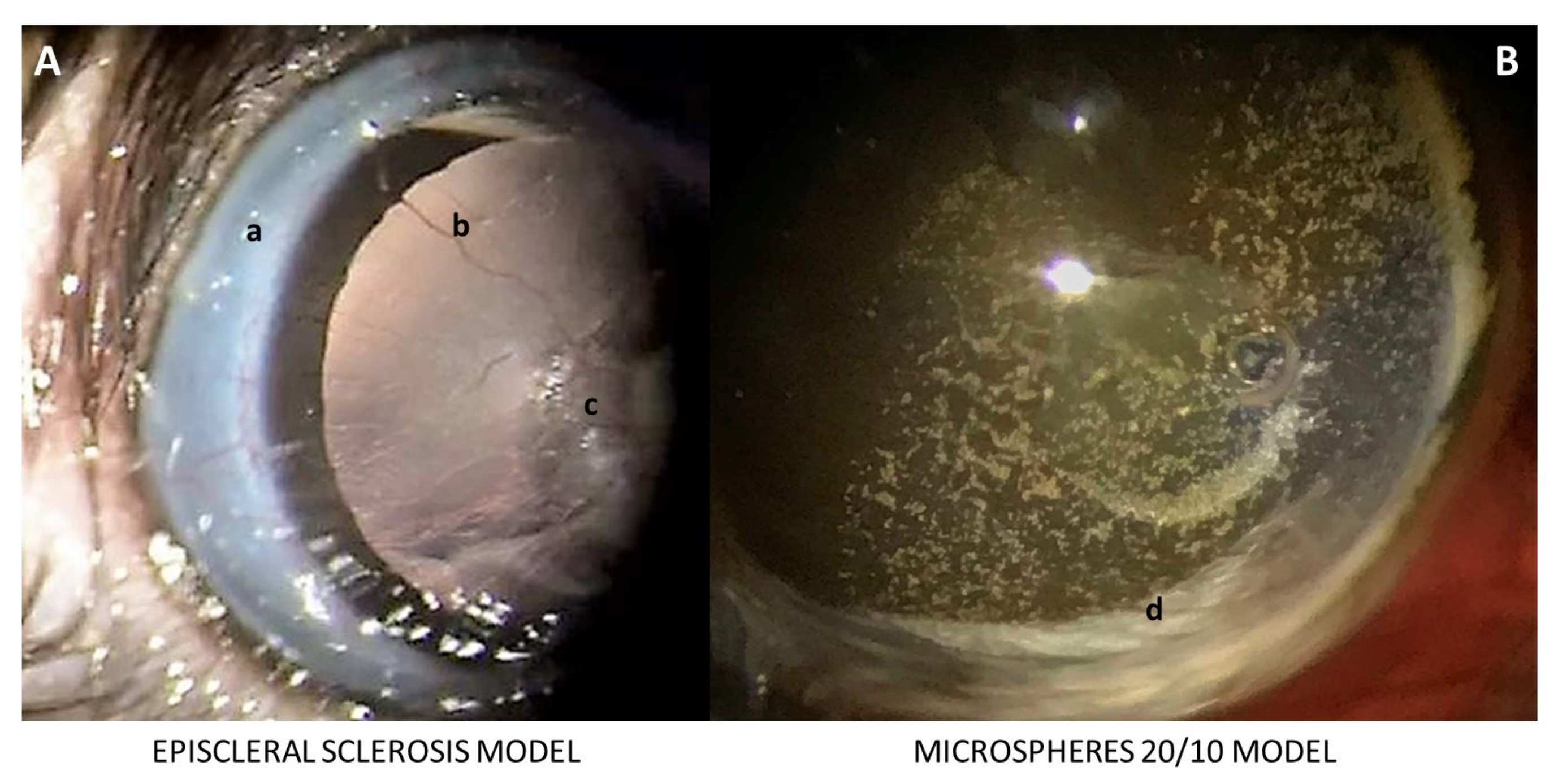Biomedicines 09 00682 g002