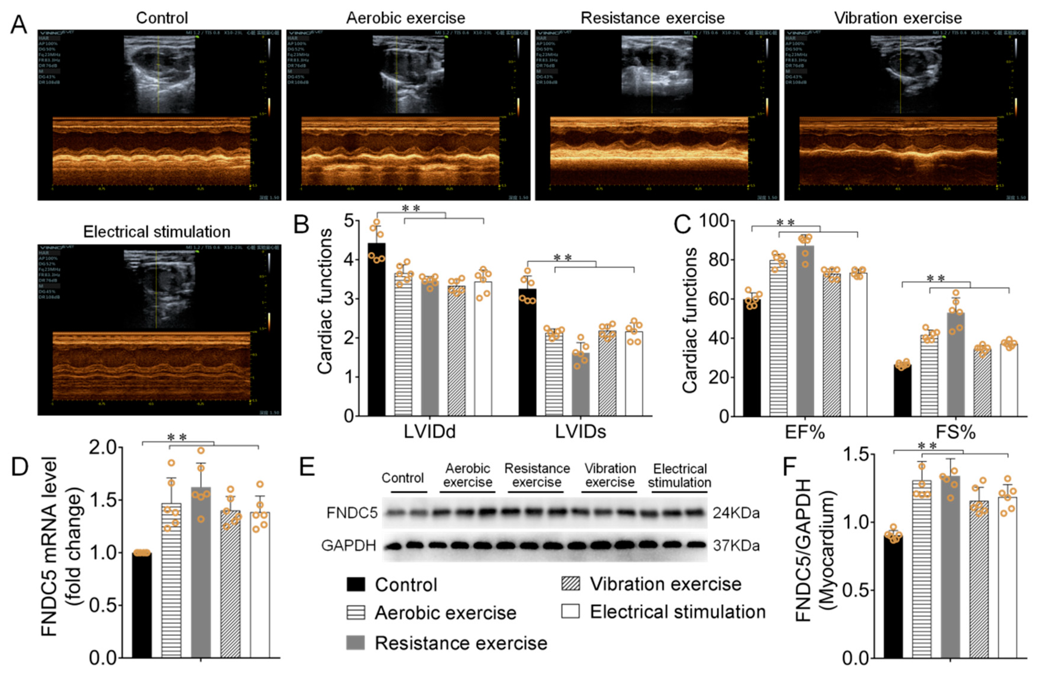 Biomedicines 09 00701 g002