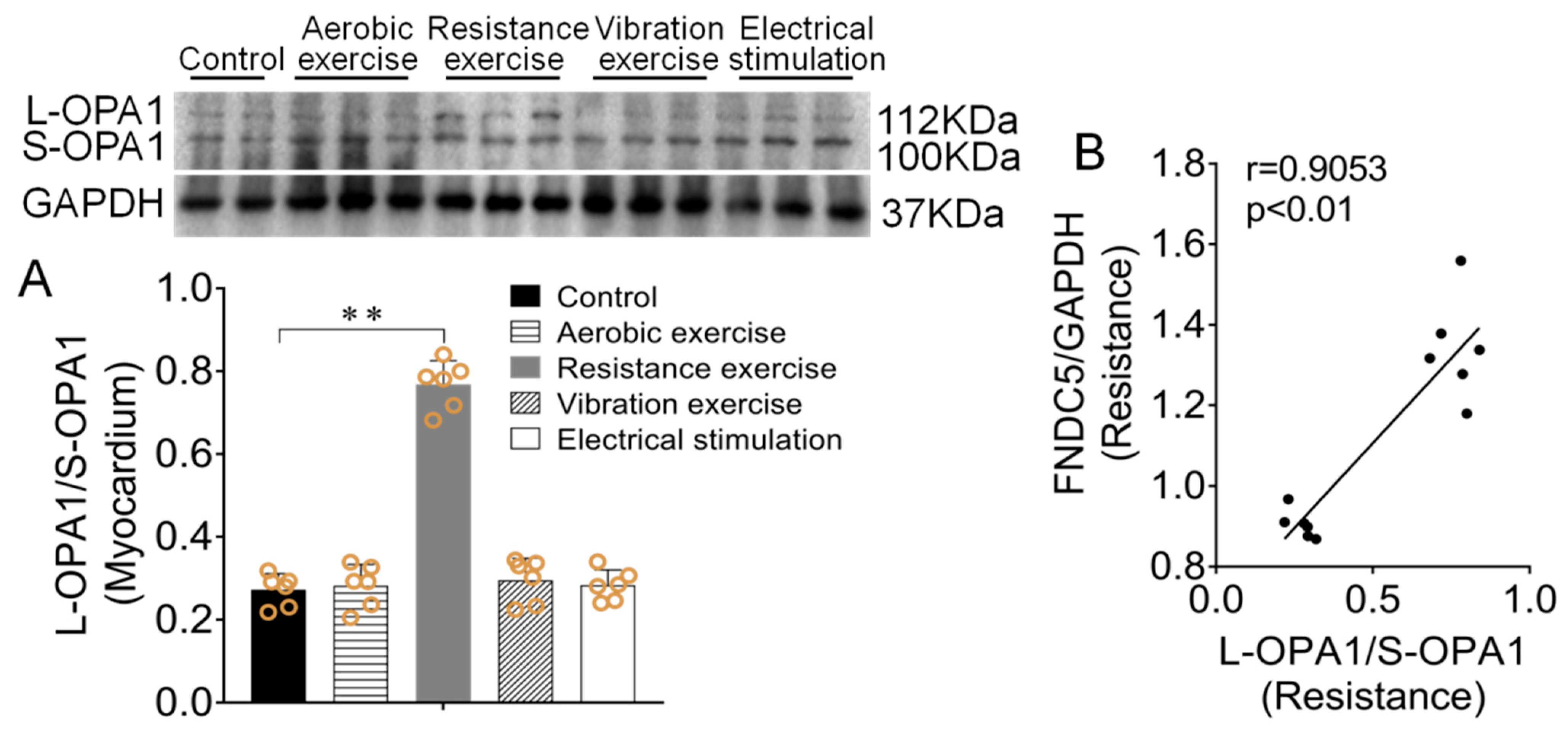 Biomedicines 09 00701 g005