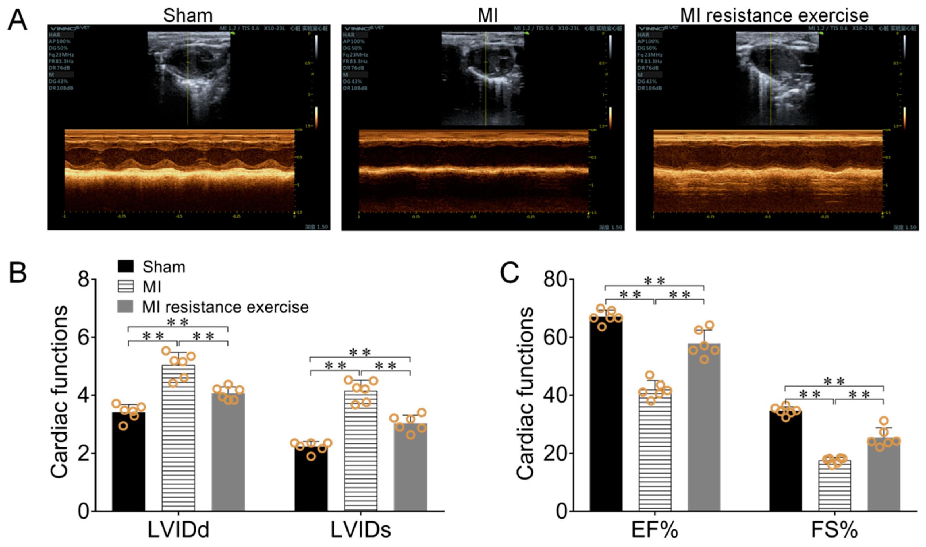 Biomedicines 09 00701 g008
