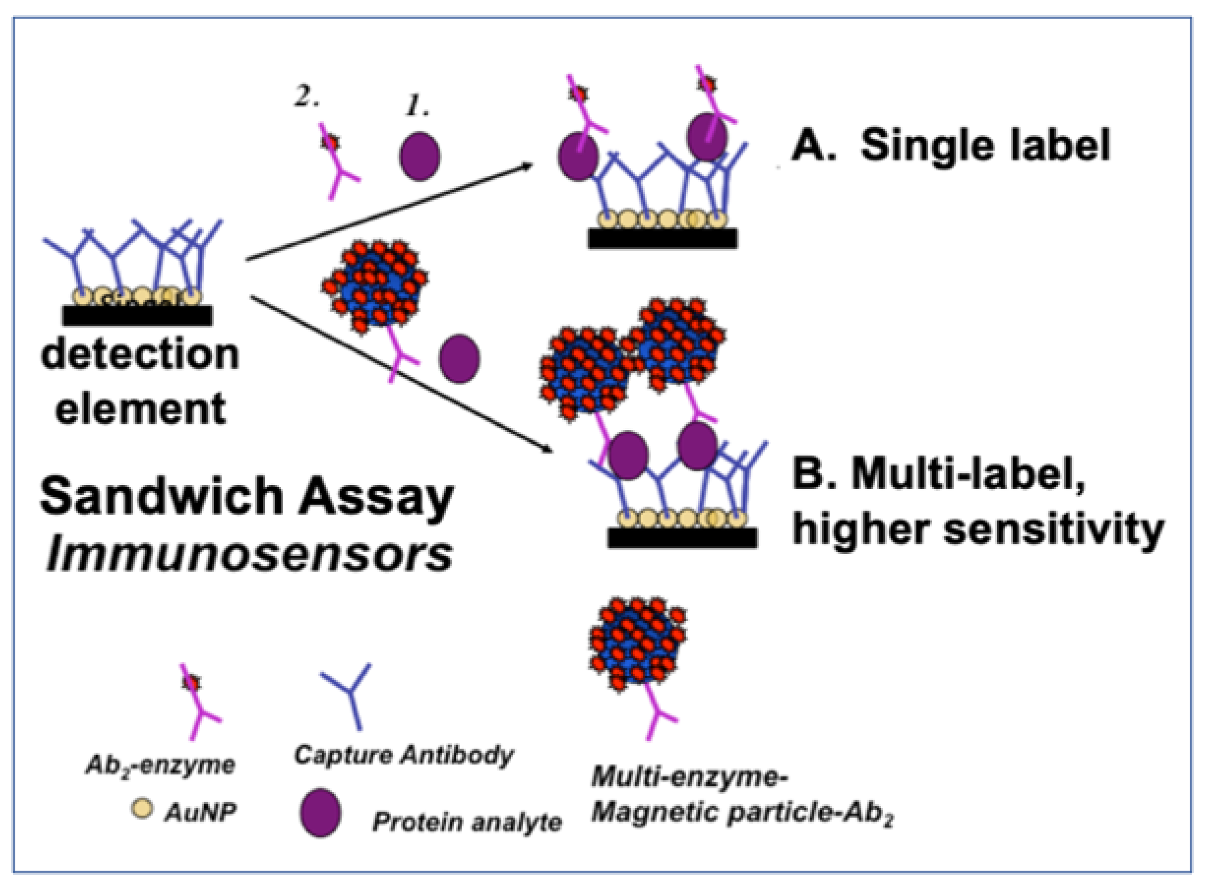 Biomedicines 09 00702 g001