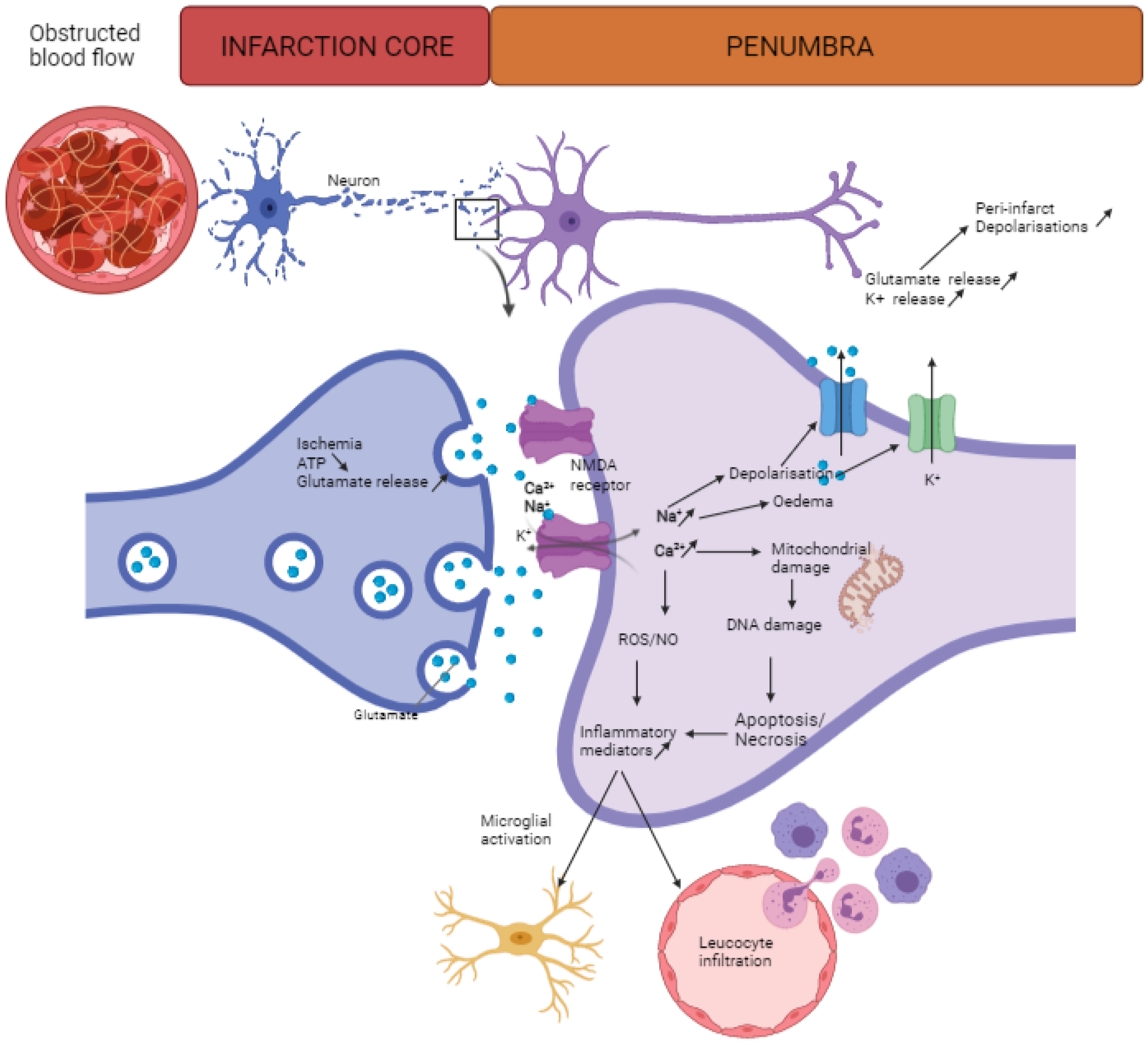 Biomedicines 09 00703 g001 Biomedicines 09 00703 g001