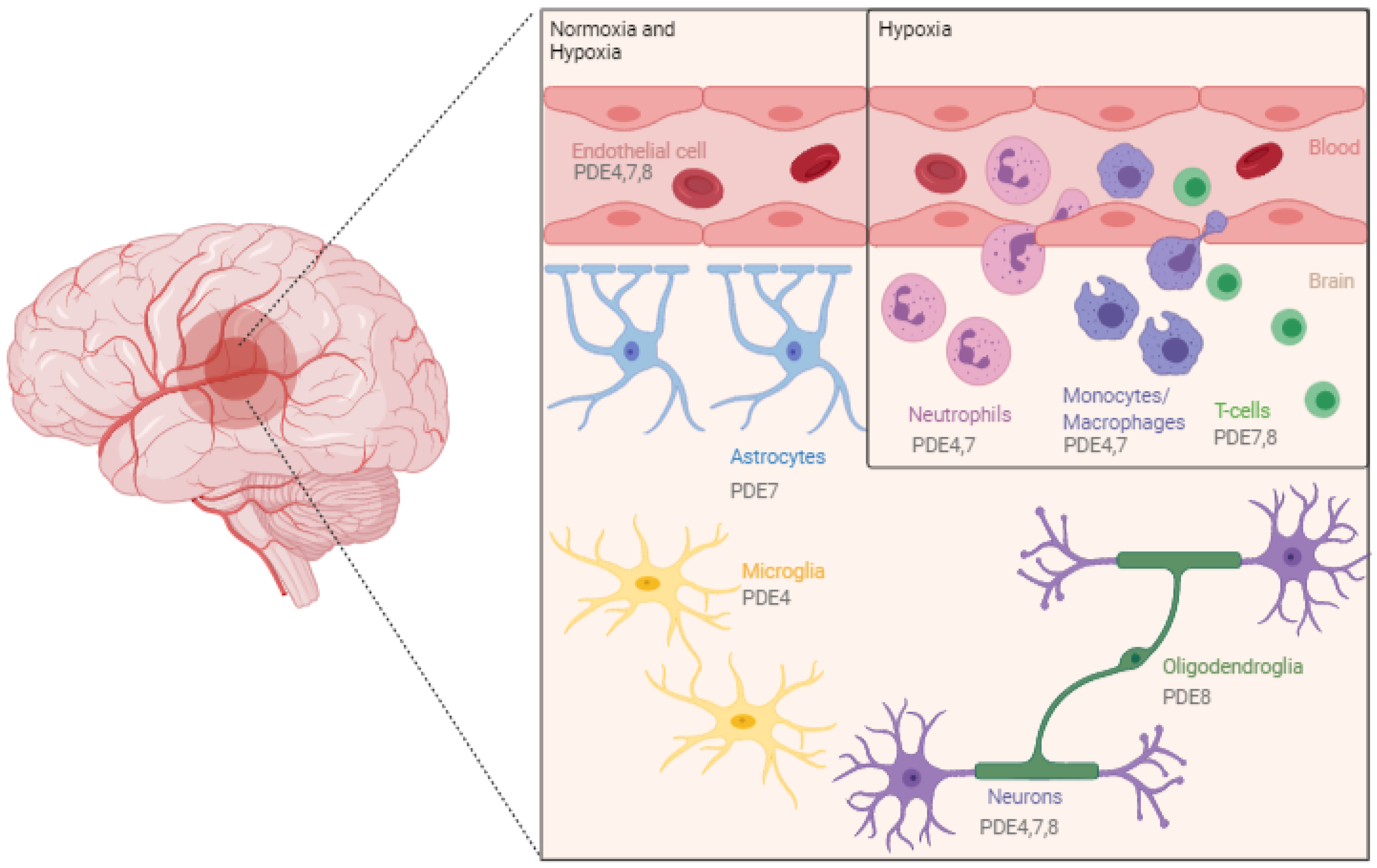 Biomedicines 09 00703 g002 Biomedicines 09 00703 g002