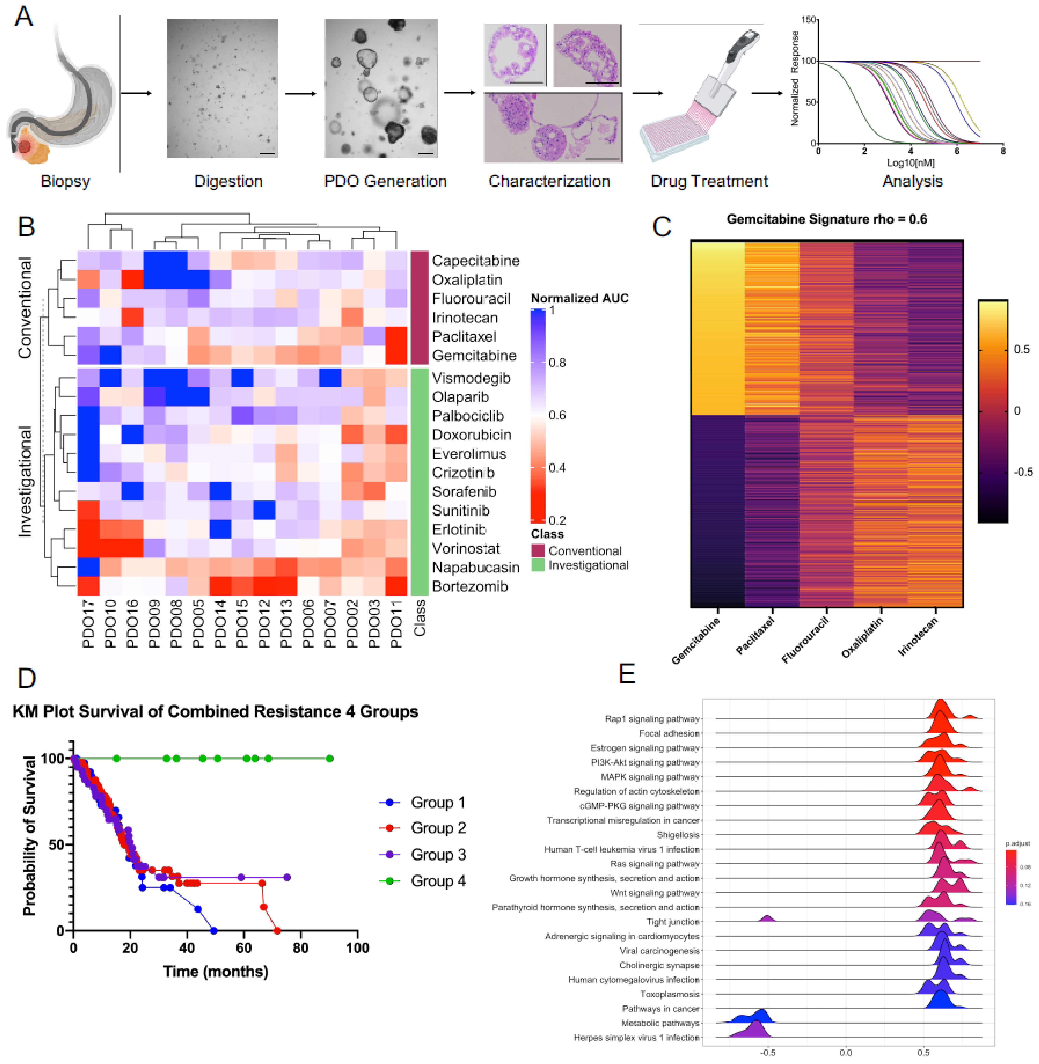 Biomedicines 09 00705 g001