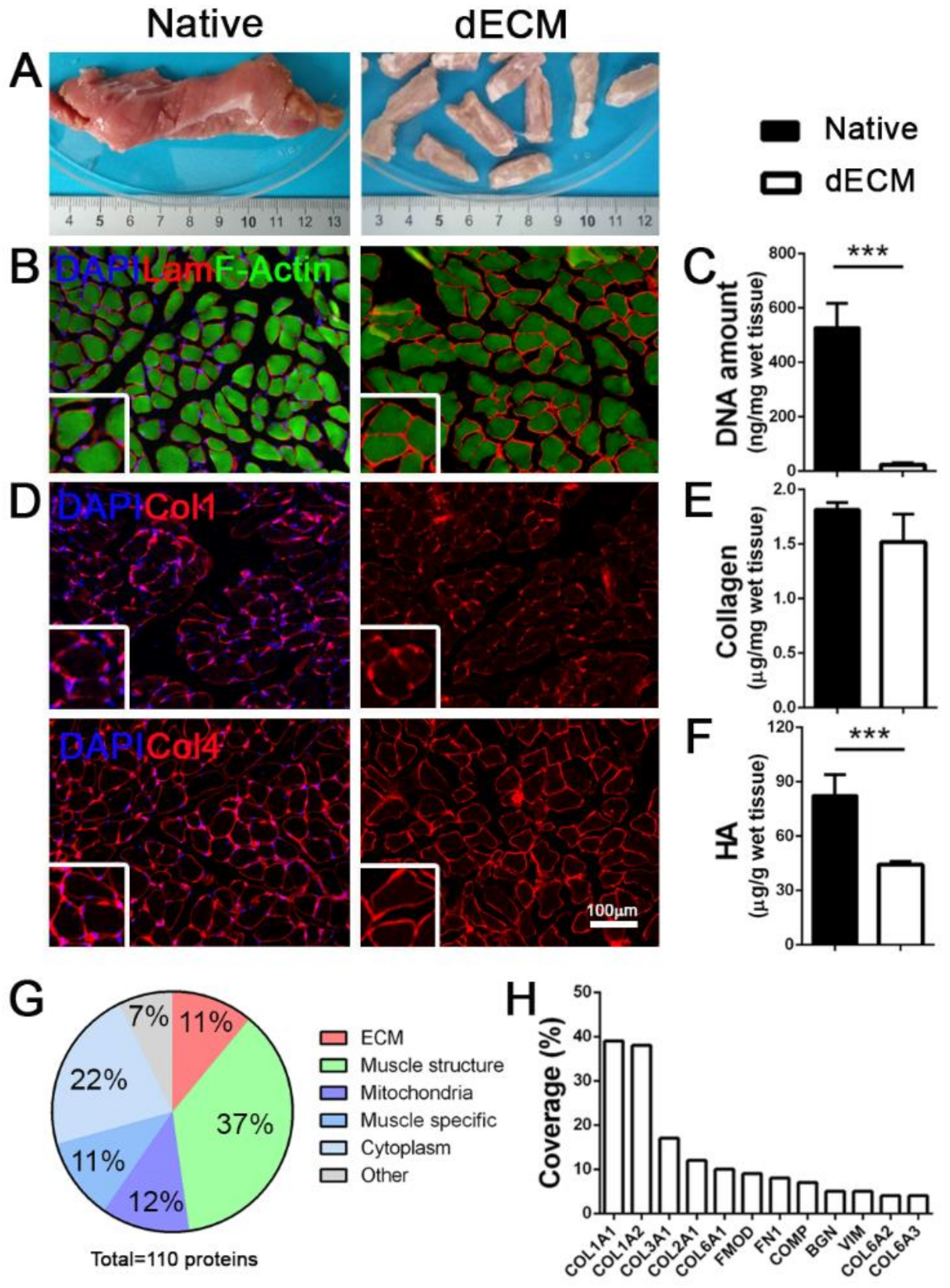 Biomedicines 09 00709 g001