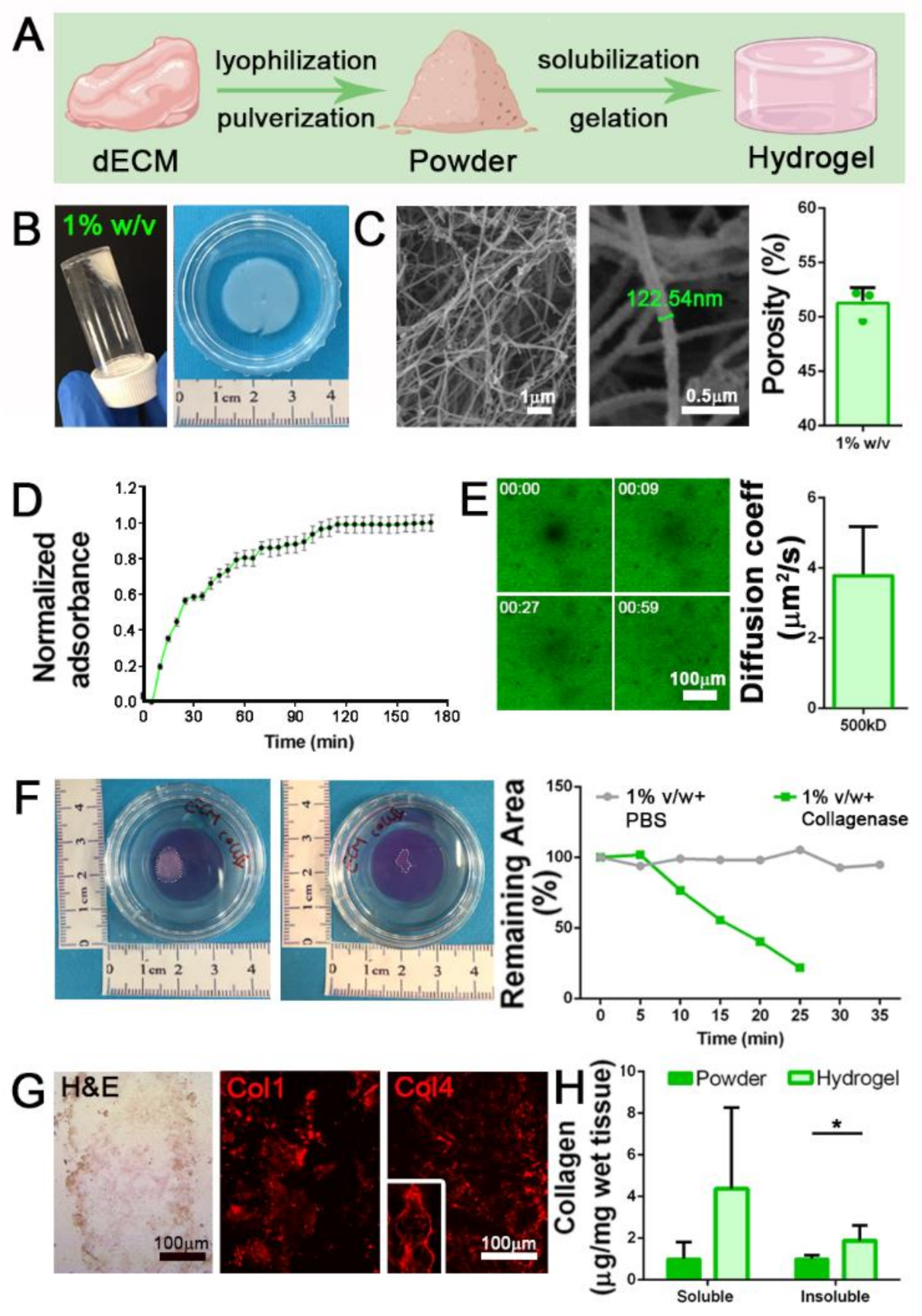 Biomedicines 09 00709 g002