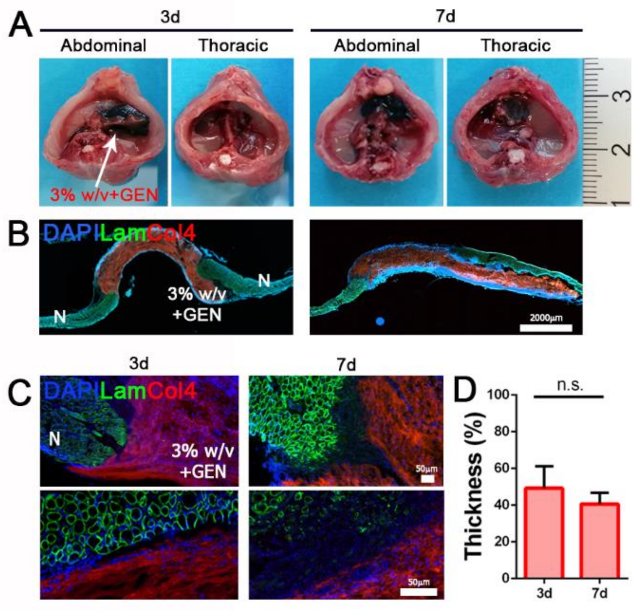 Biomedicines 09 00709 g005