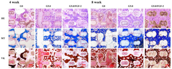 Biomedicines 09 00712 g011 550