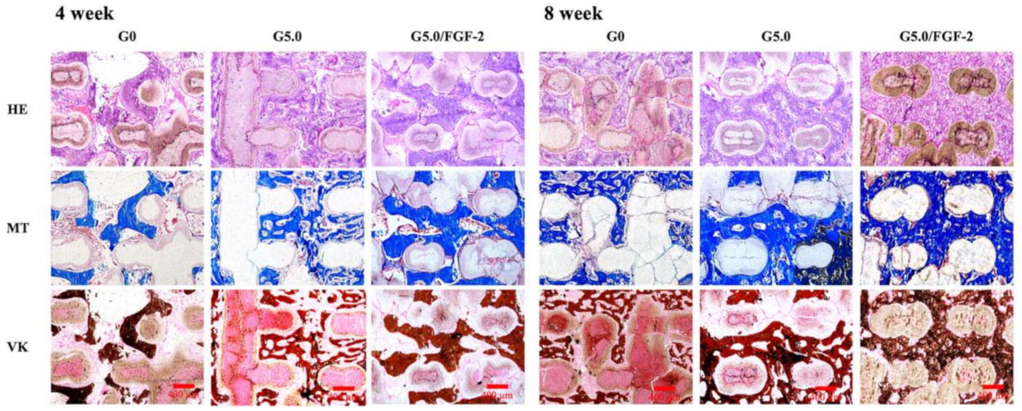Biomedicines 09 00712 g011