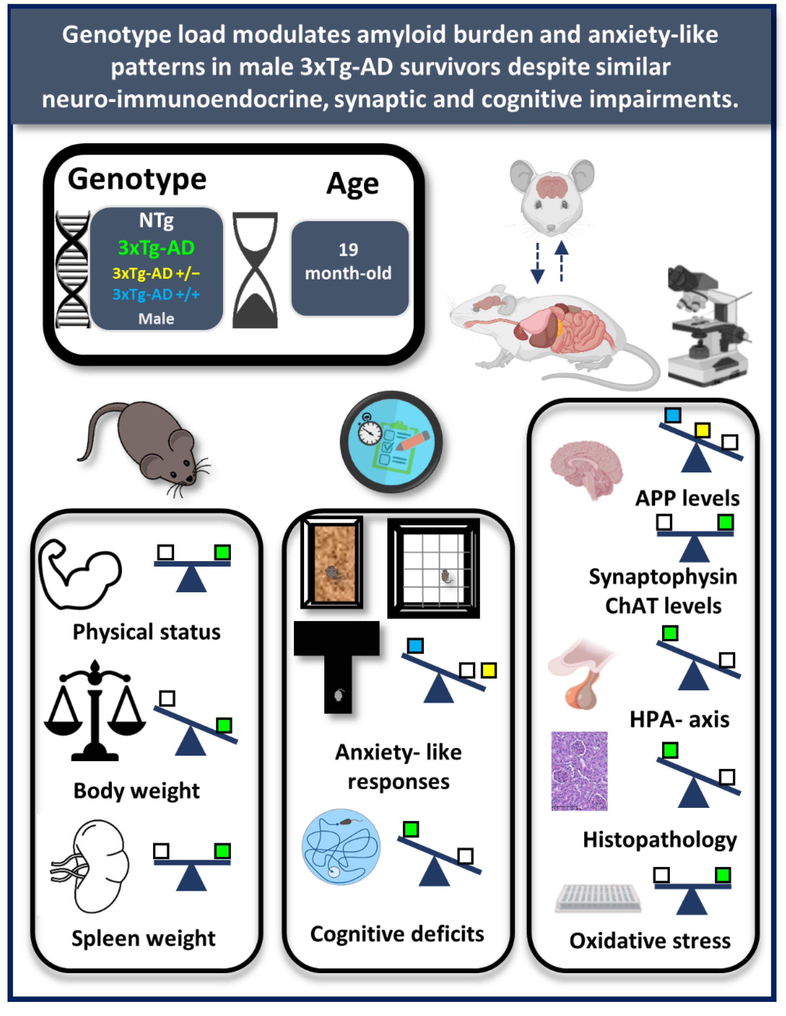 Biomedicines 09 00715 g001