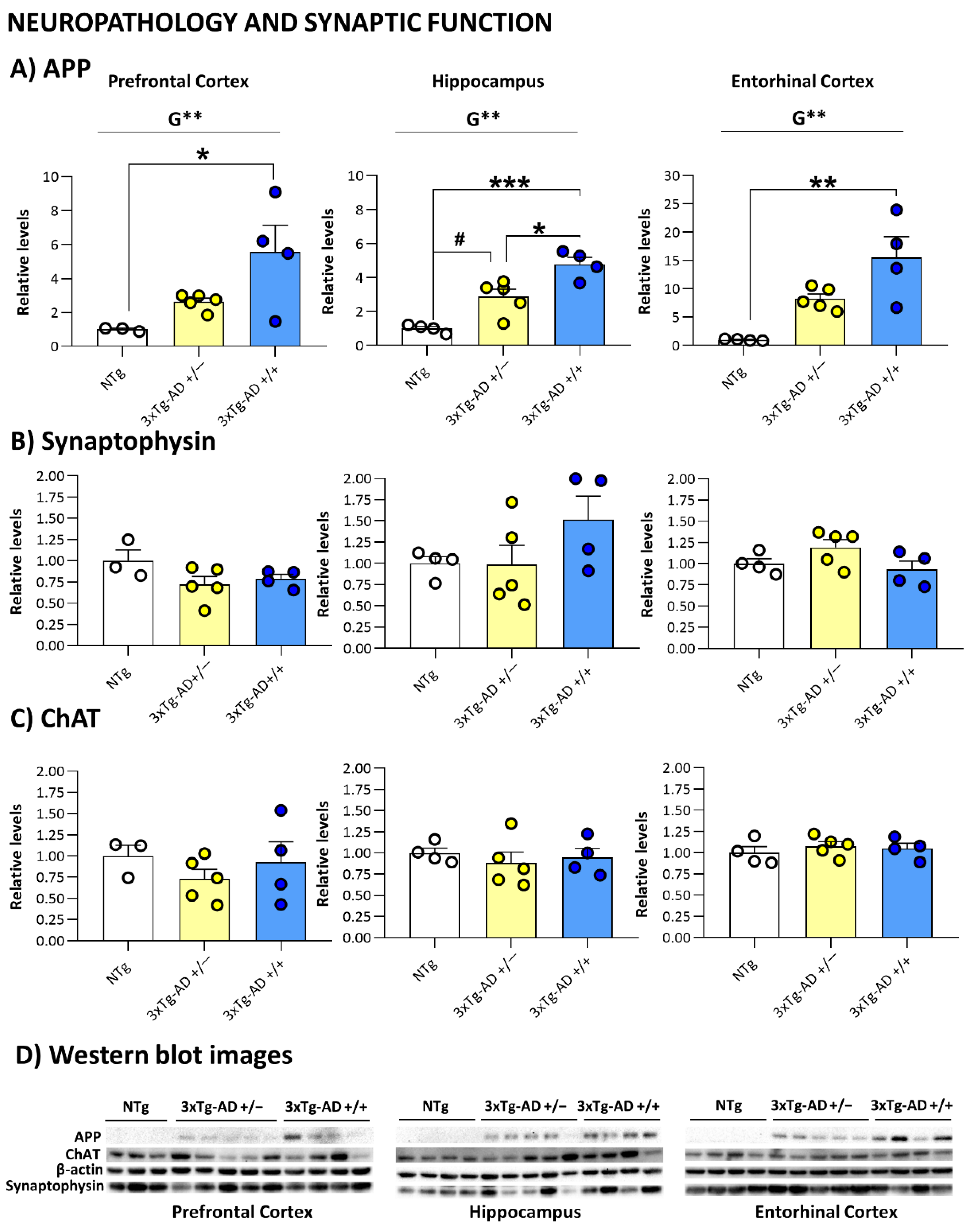 Biomedicines 09 00715 g003