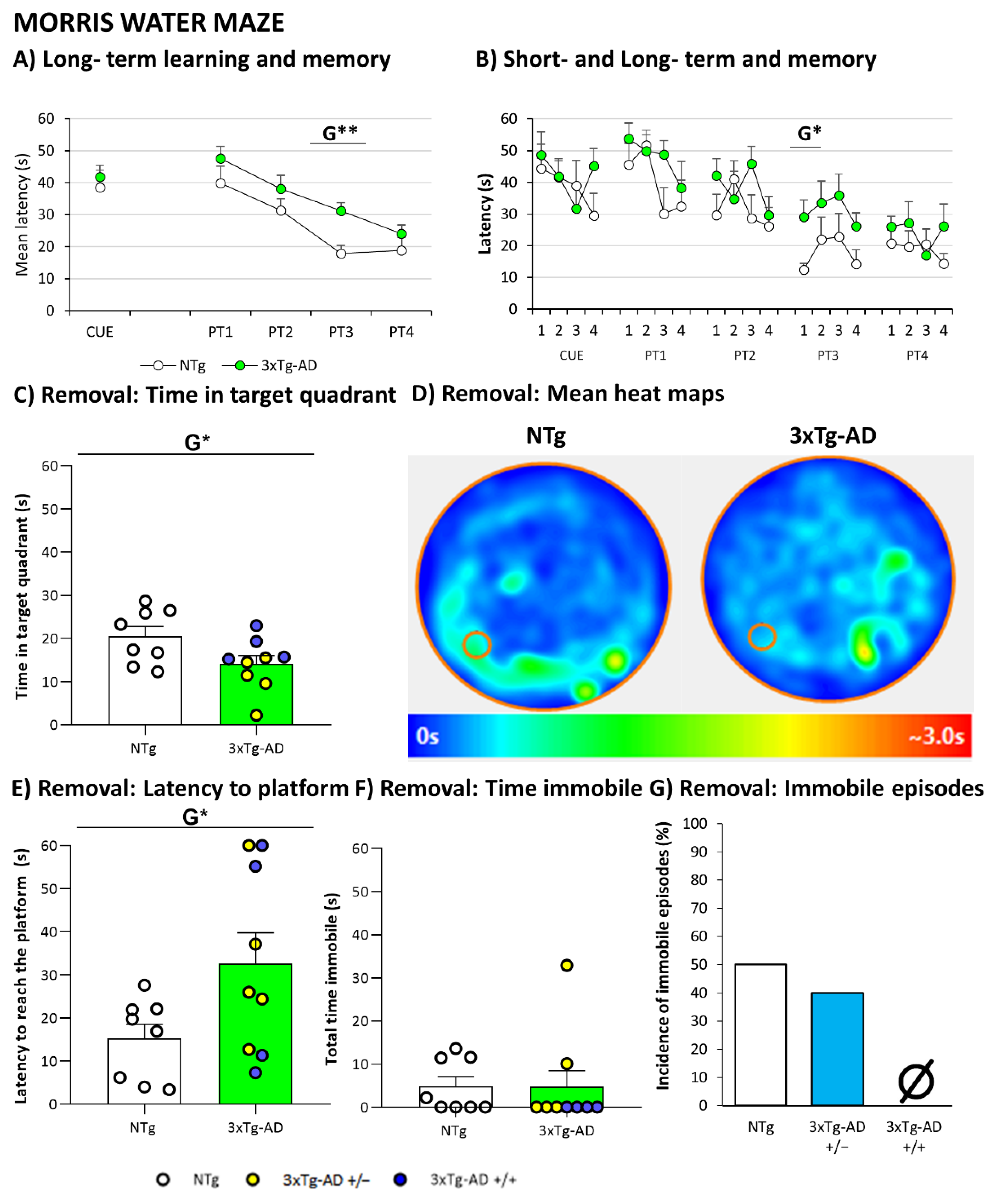 Biomedicines 09 00715 g006