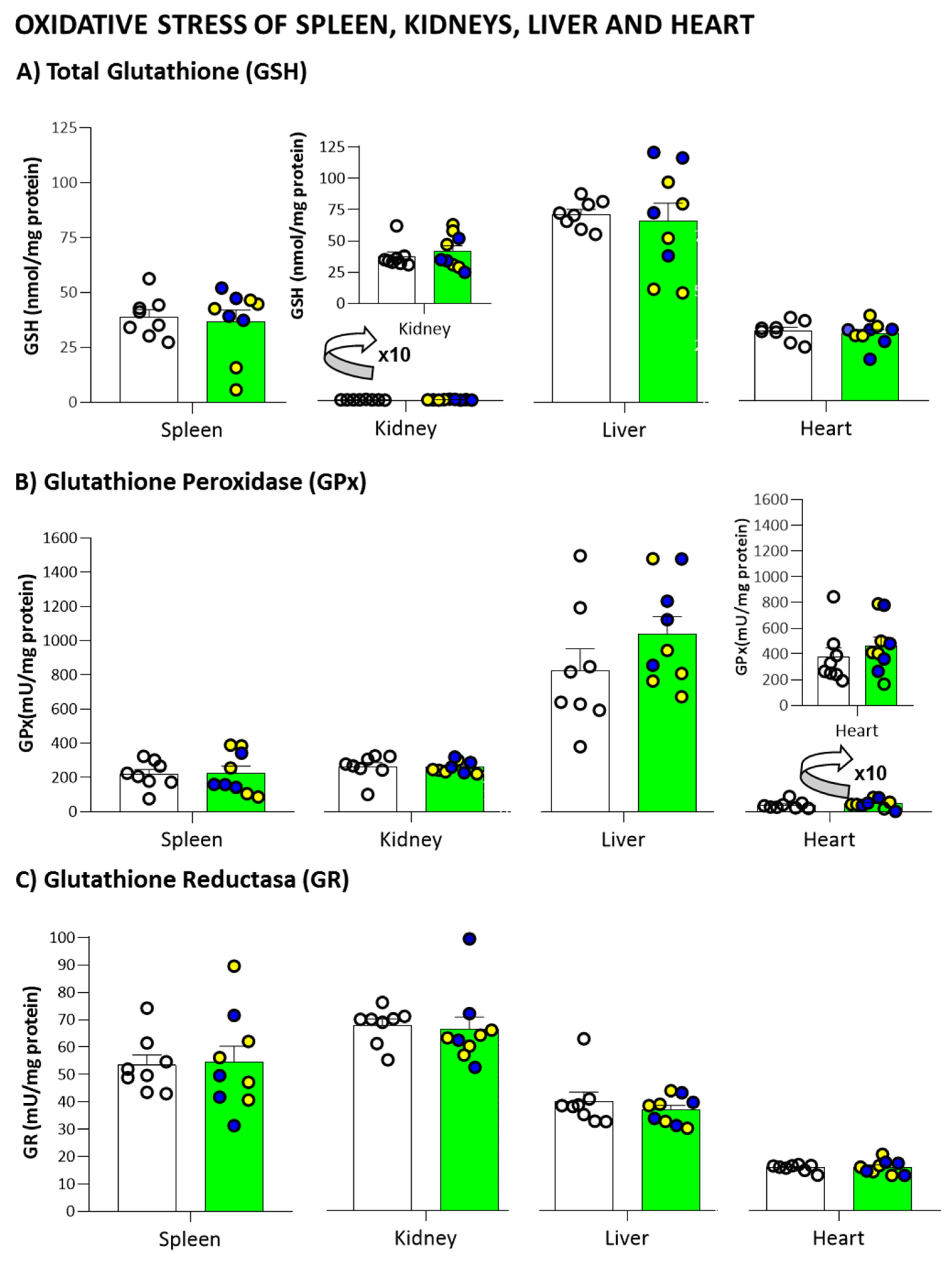 Biomedicines 09 00715 g008