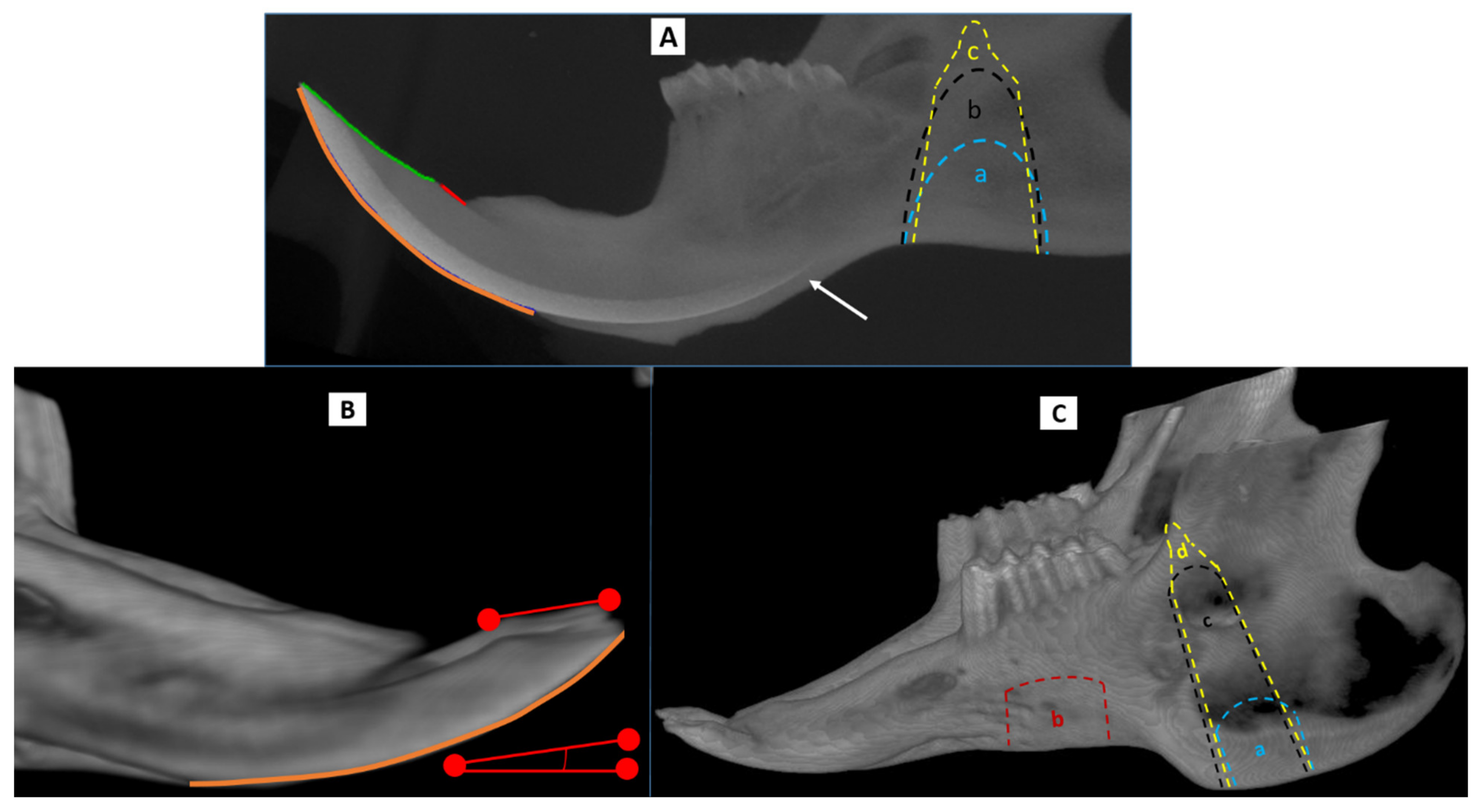 Biomedicines 09 00730 g002 Biomedicines 09 00730 g002