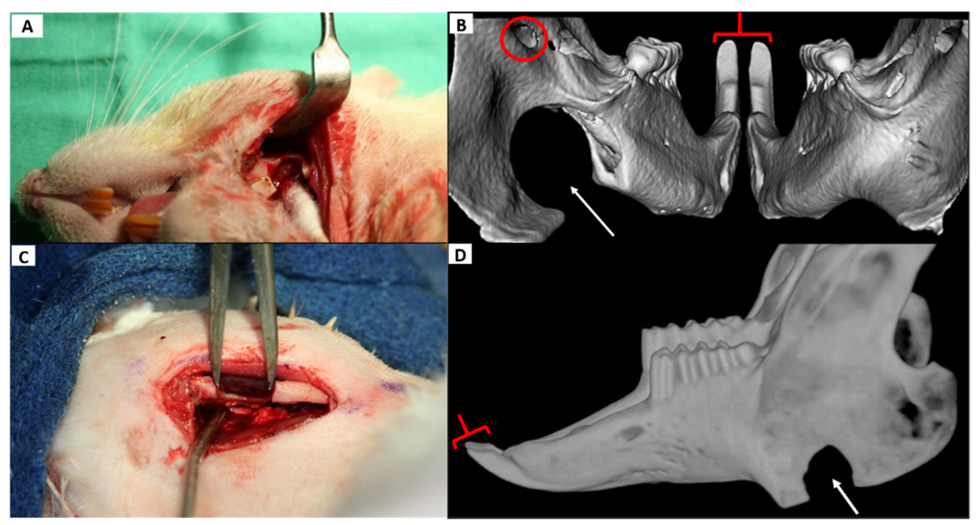 Biomedicines 09 00730 g004 Biomedicines 09 00730 g004