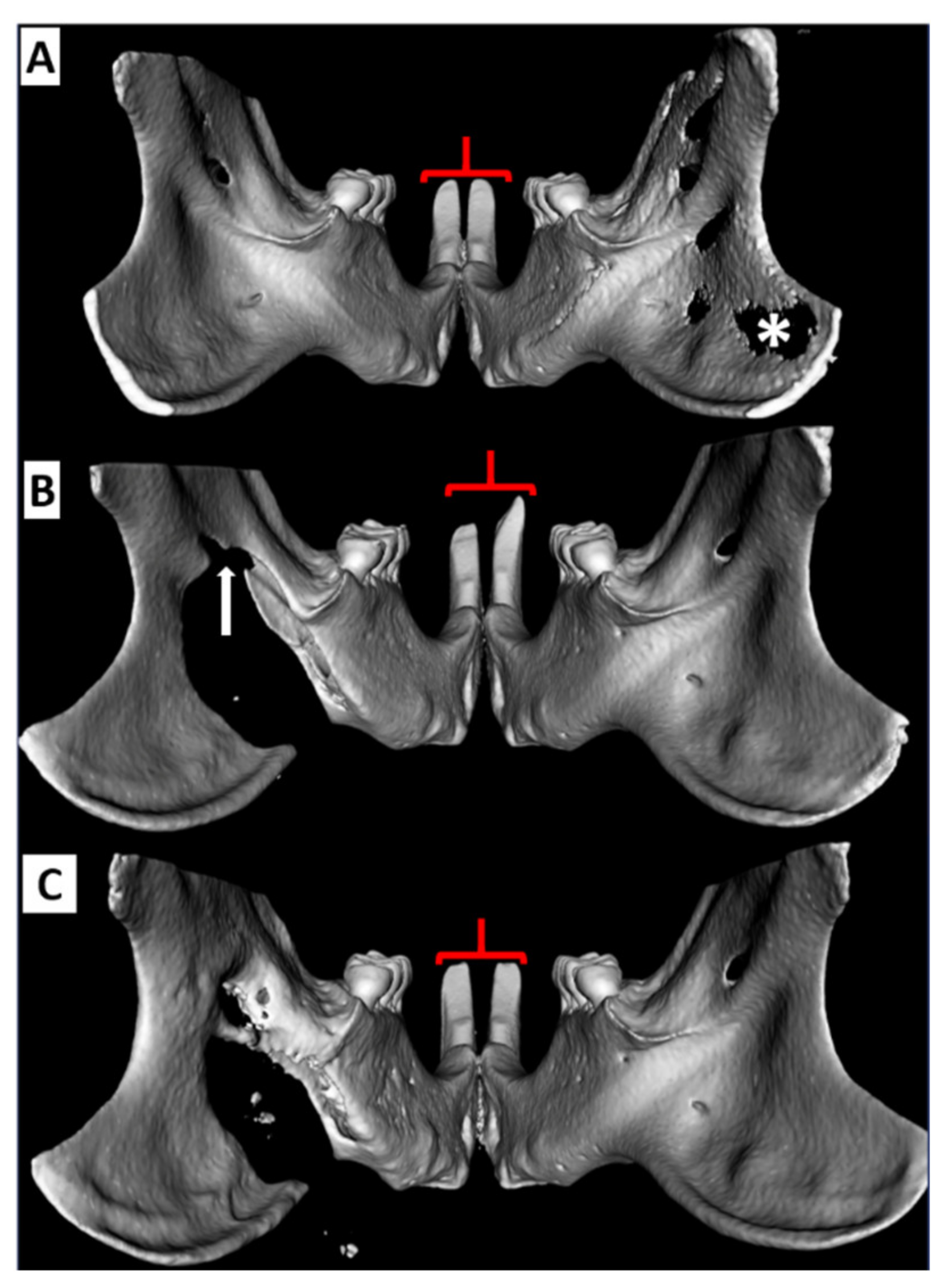 Biomedicines 09 00730 g005 Biomedicines 09 00730 g005