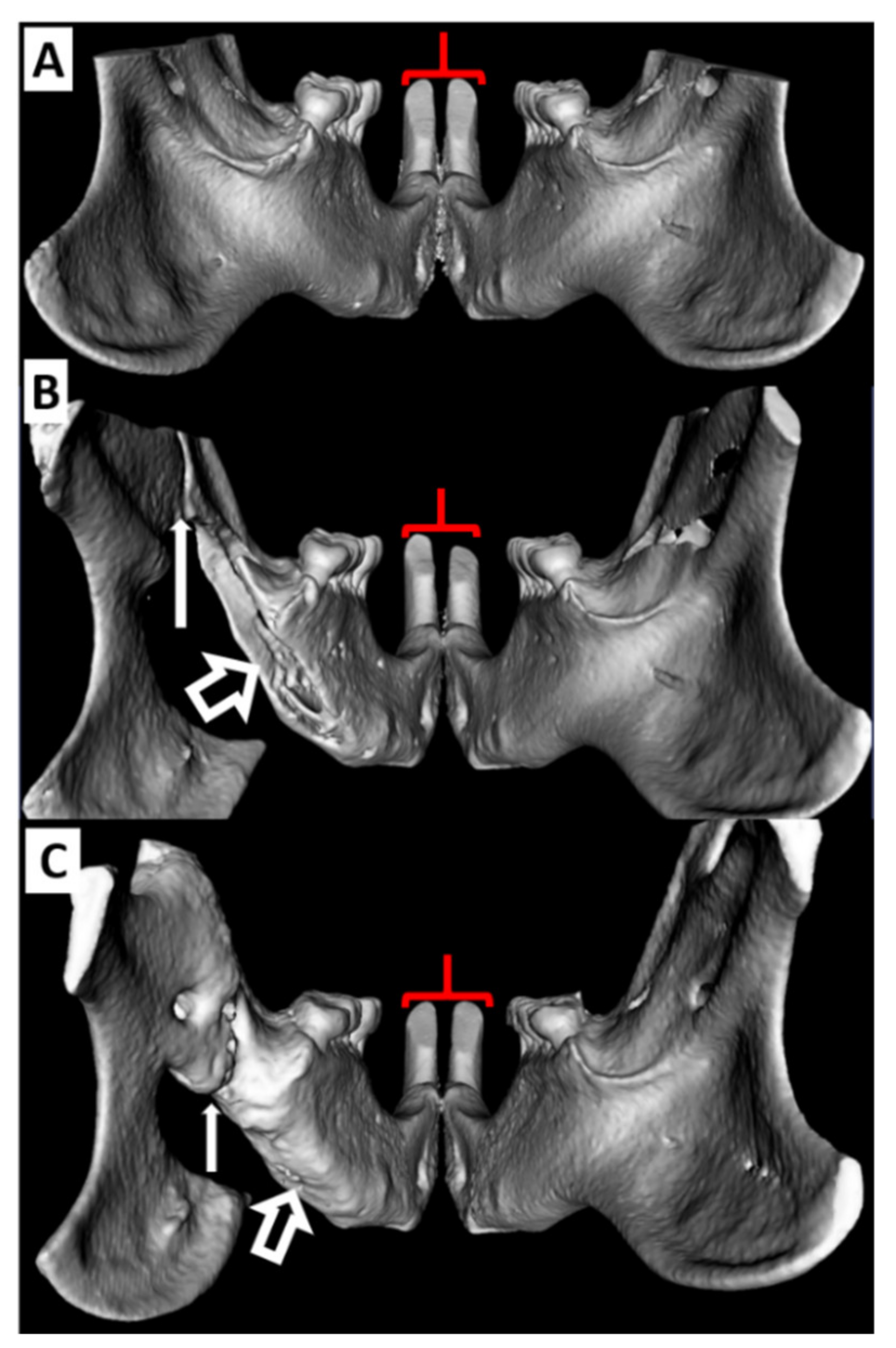 Biomedicines 09 00730 g006 Biomedicines 09 00730 g006