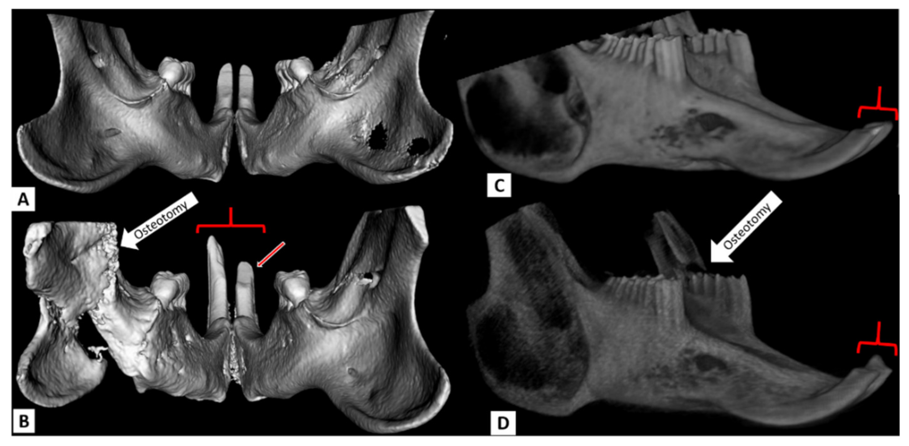 Biomedicines 09 00730 g007 Biomedicines 09 00730 g007