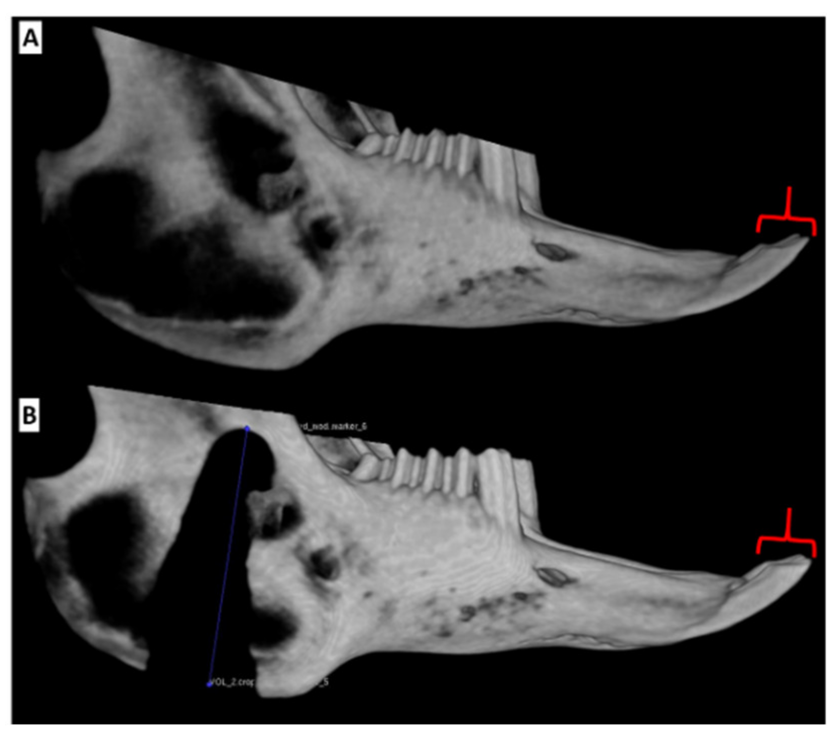 Biomedicines 09 00730 g009 Biomedicines 09 00730 g009