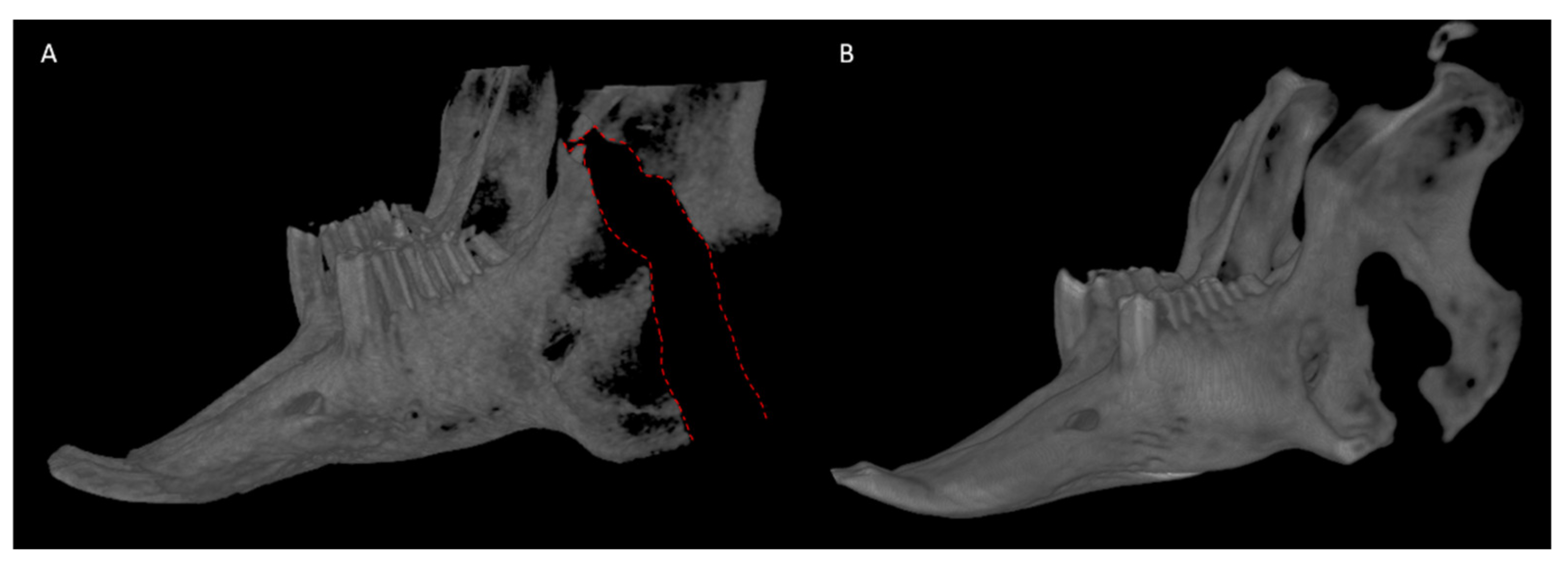 Biomedicines 09 00730 g011 Biomedicines 09 00730 g011