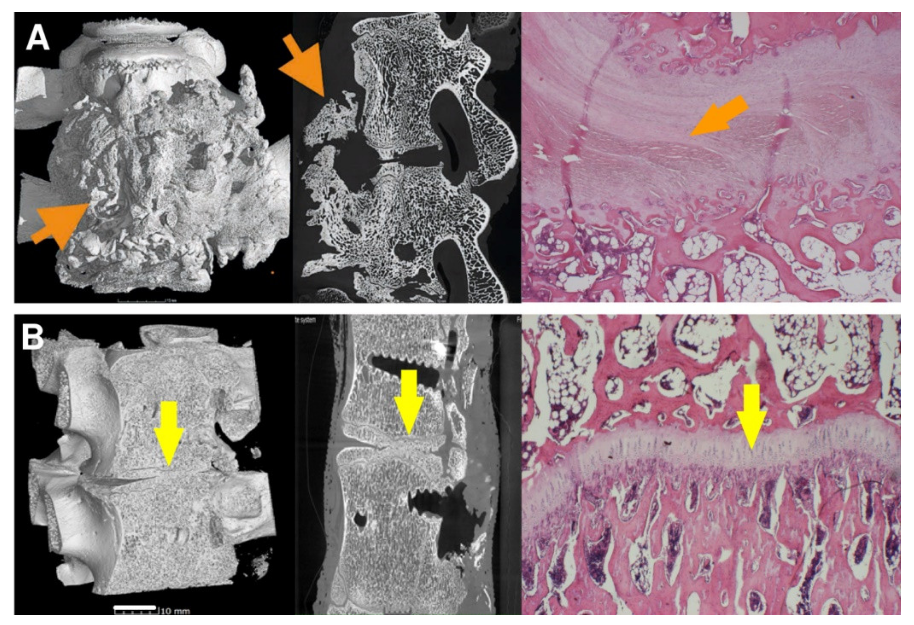 Biomedicines 09 00733 g010 Biomedicines 09 00733 g010