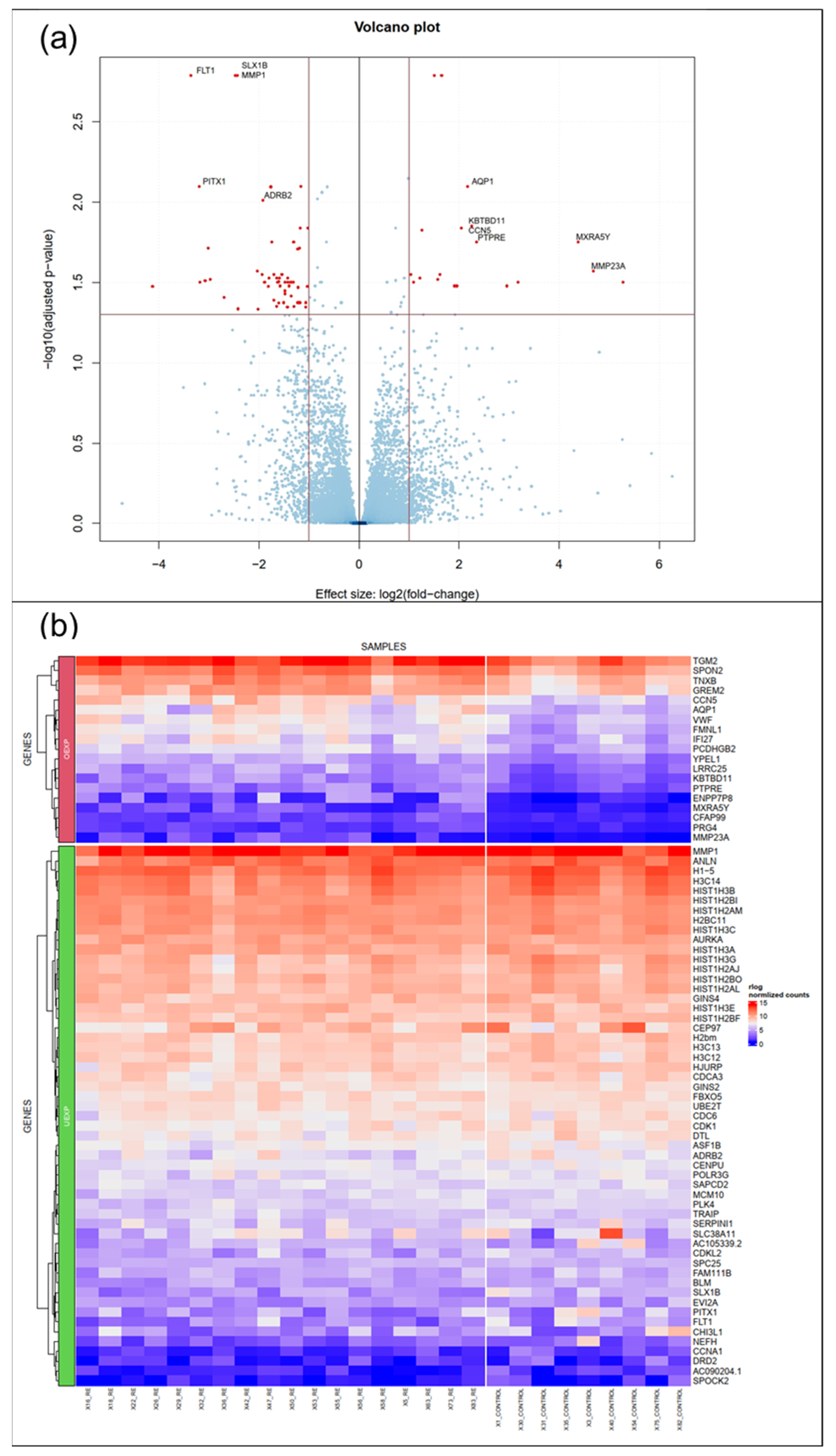 Biomedicines 09 00735 g001