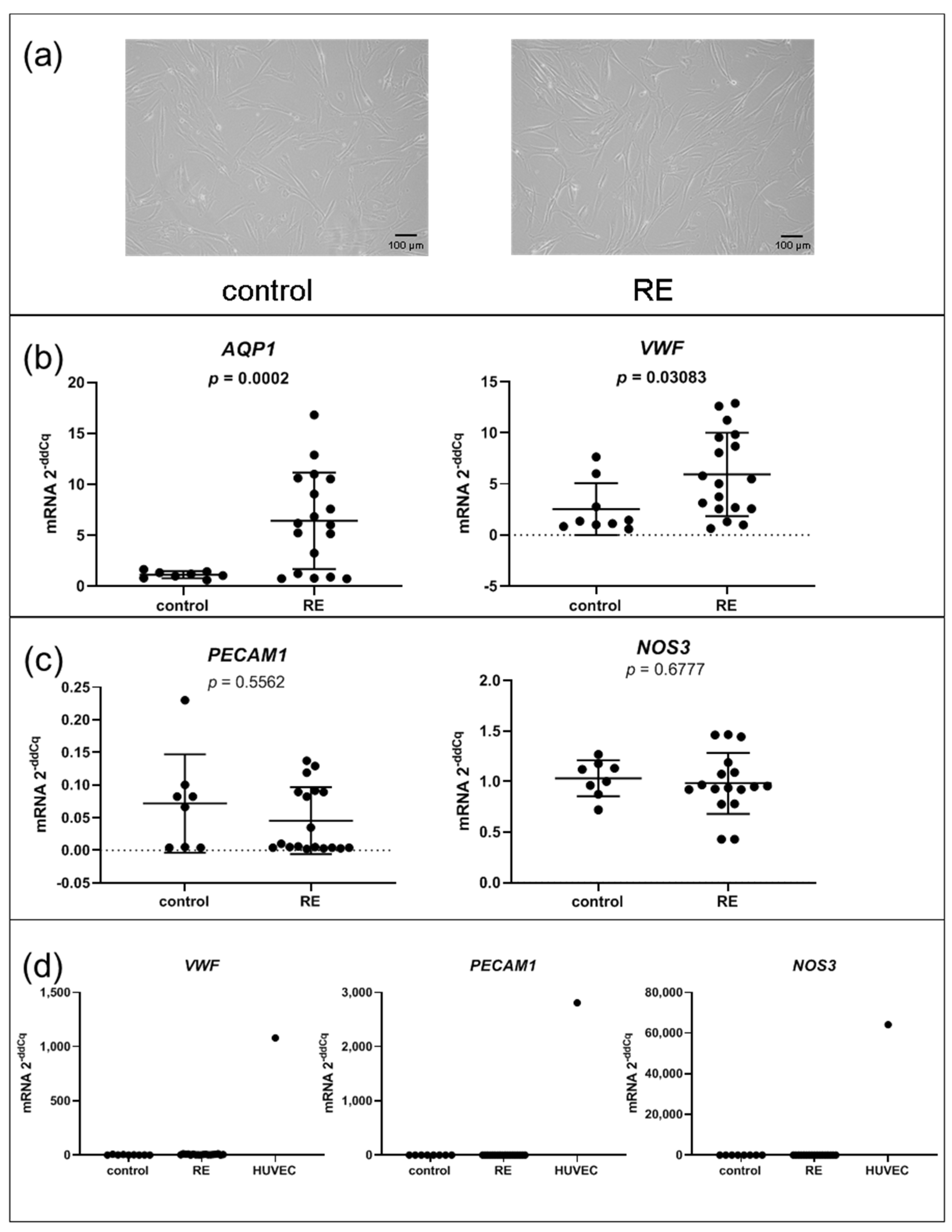 Biomedicines 09 00735 g002