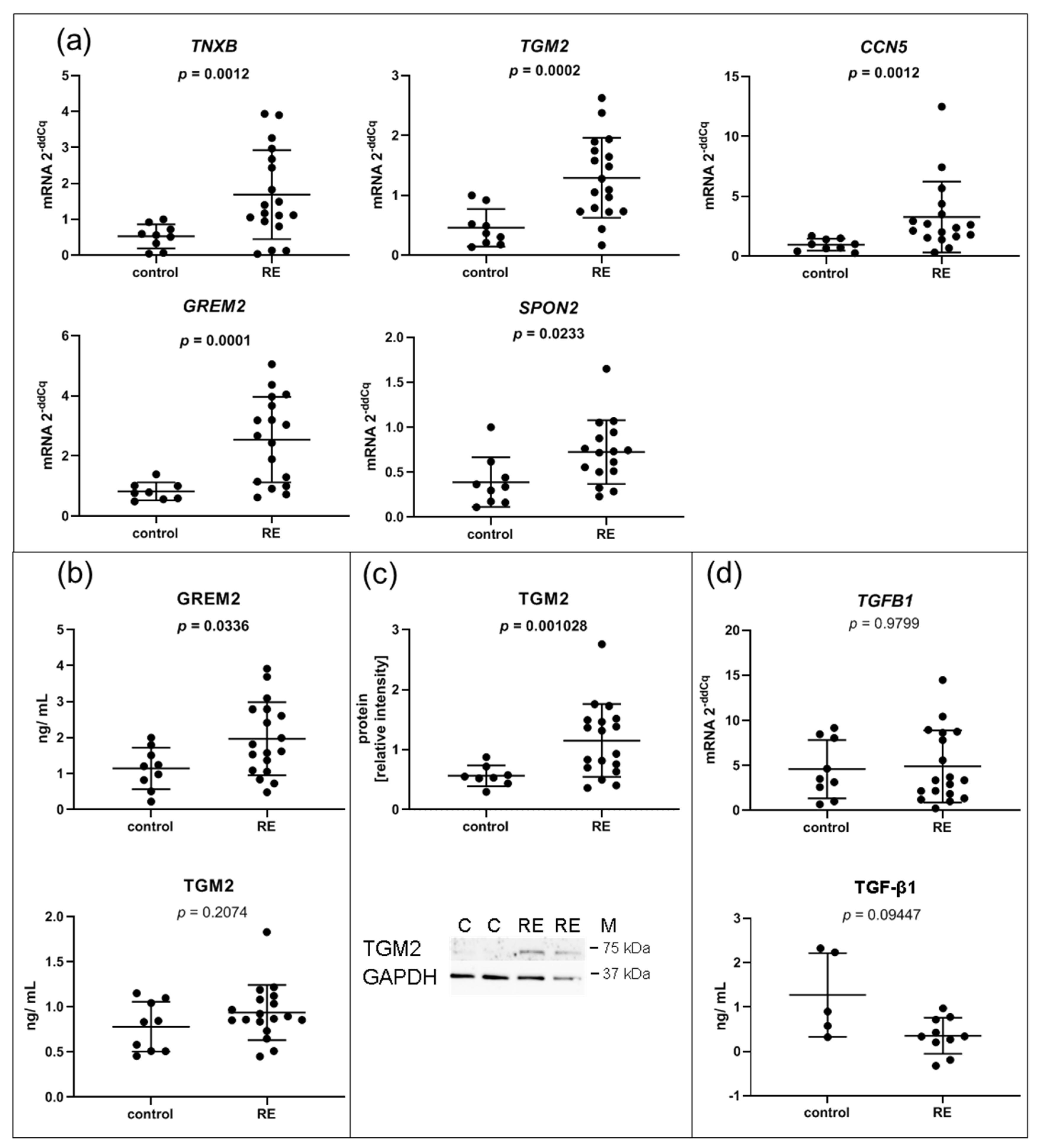 Biomedicines 09 00735 g003