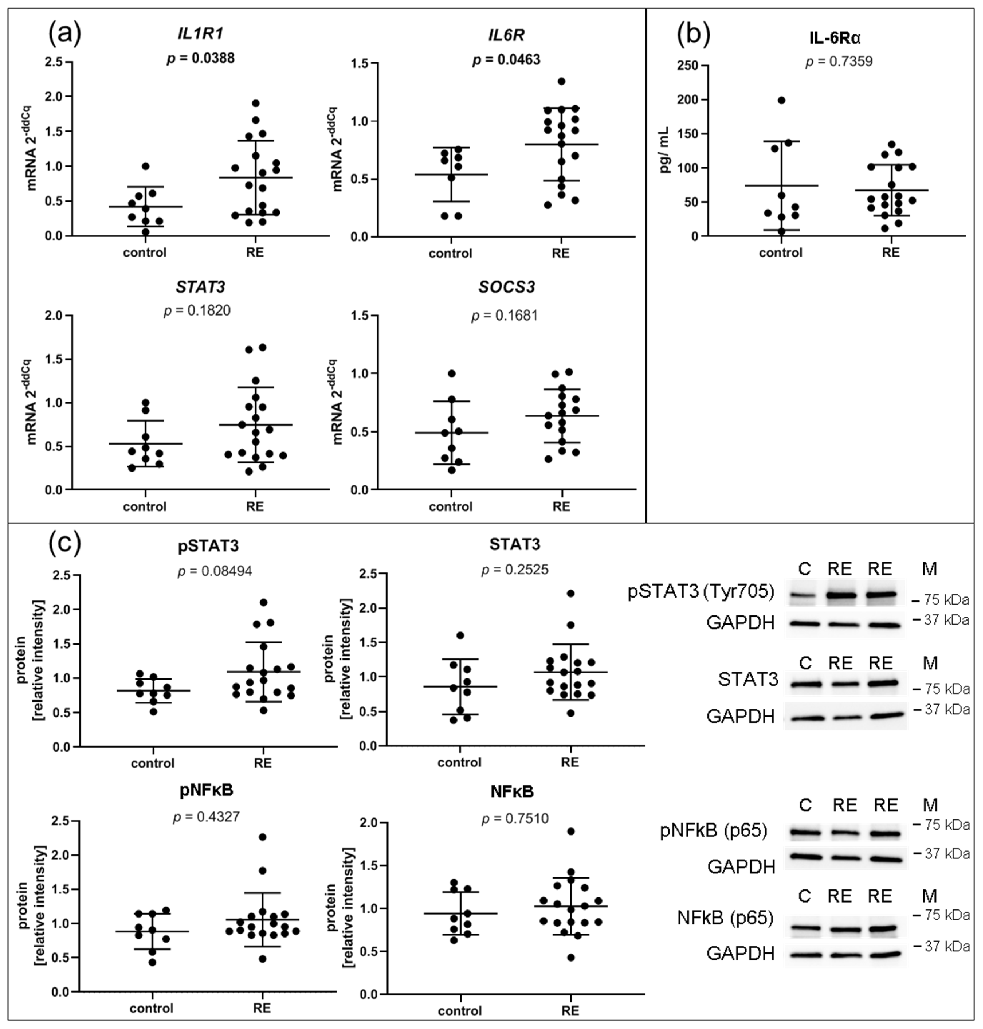 Biomedicines 09 00735 g006
