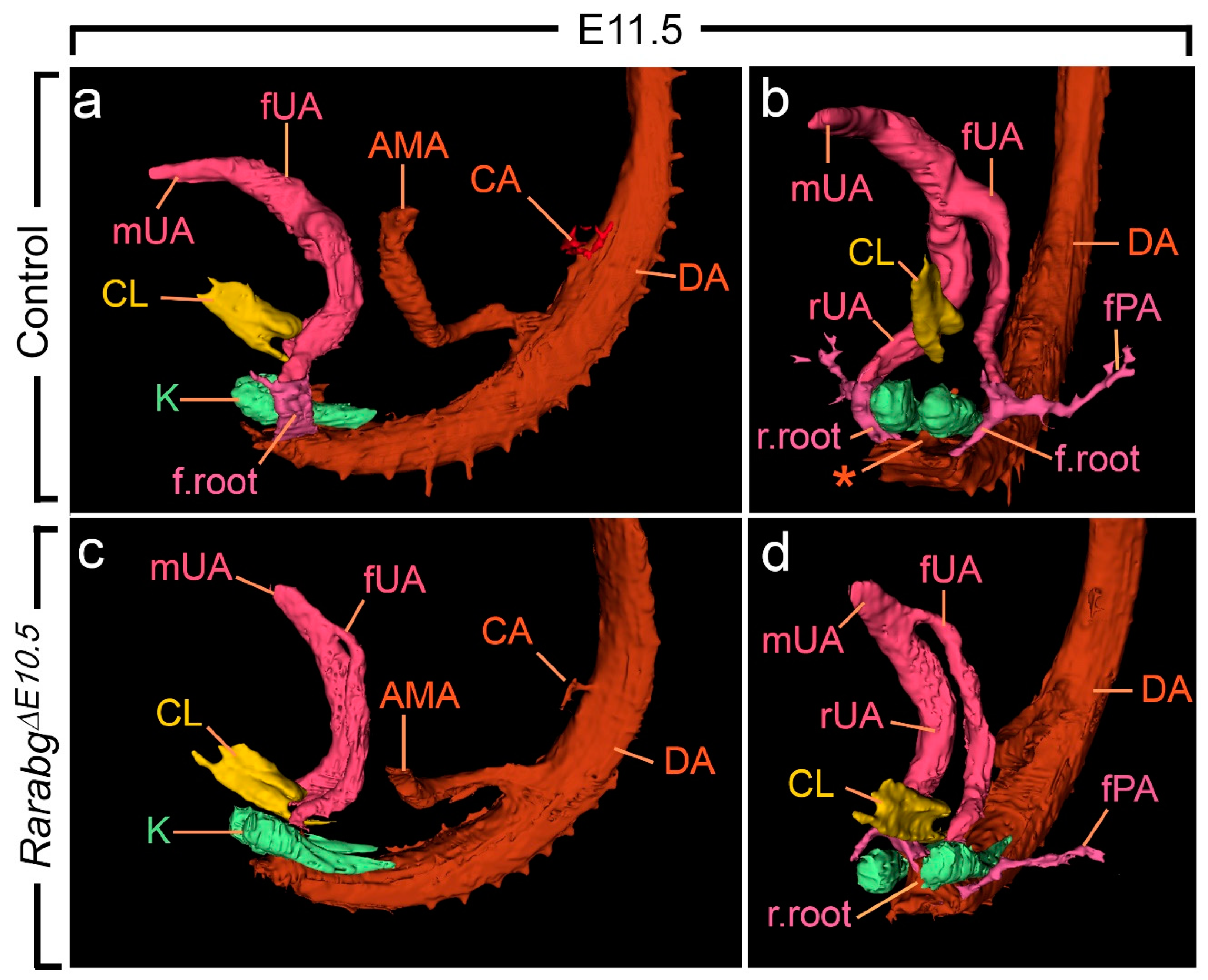 Biomedicines 09 00742 g005