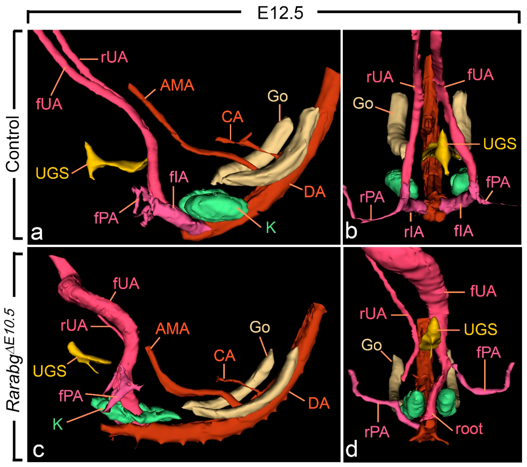 Biomedicines 09 00742 g006