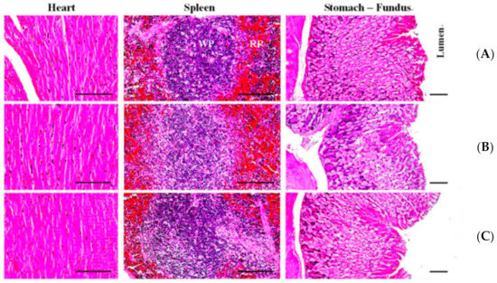 Biomedicines 09 00745 g0a2 550