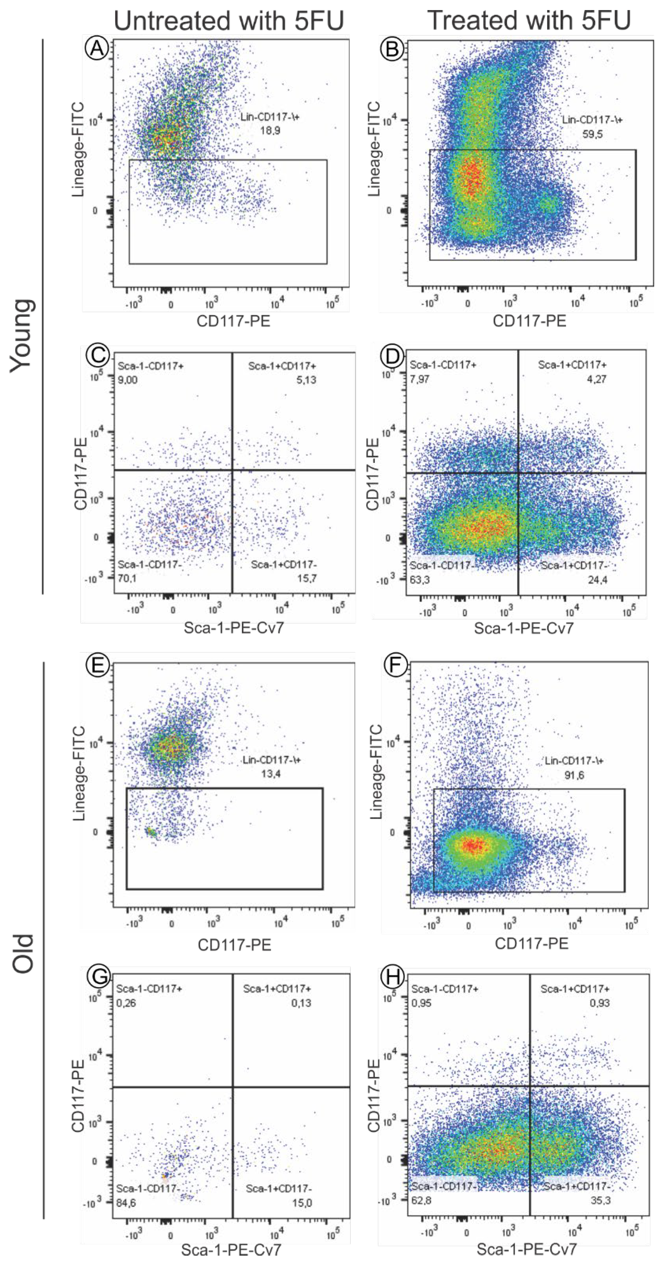 Biomedicines 09 00752 g001