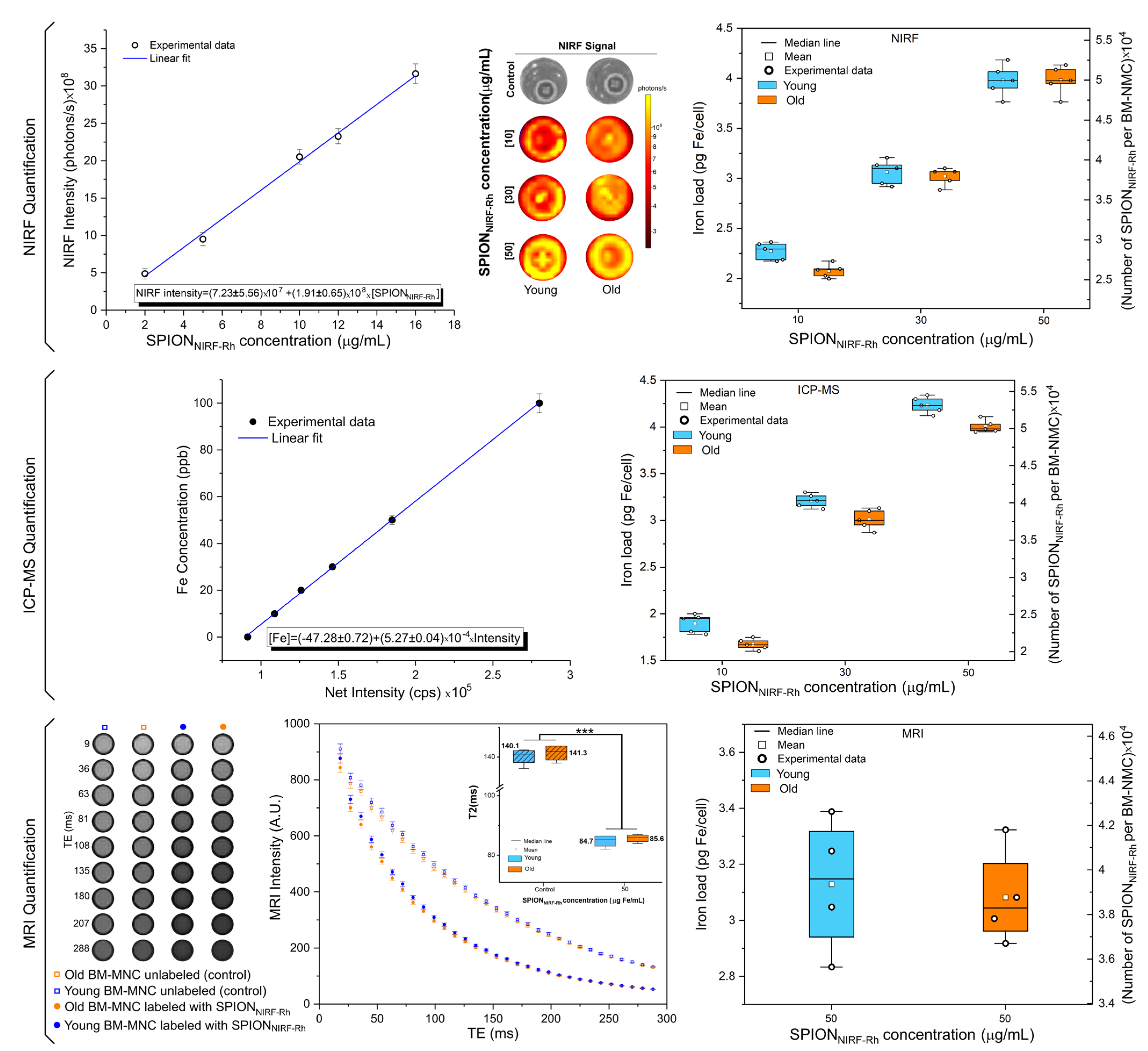 Biomedicines 09 00752 g006