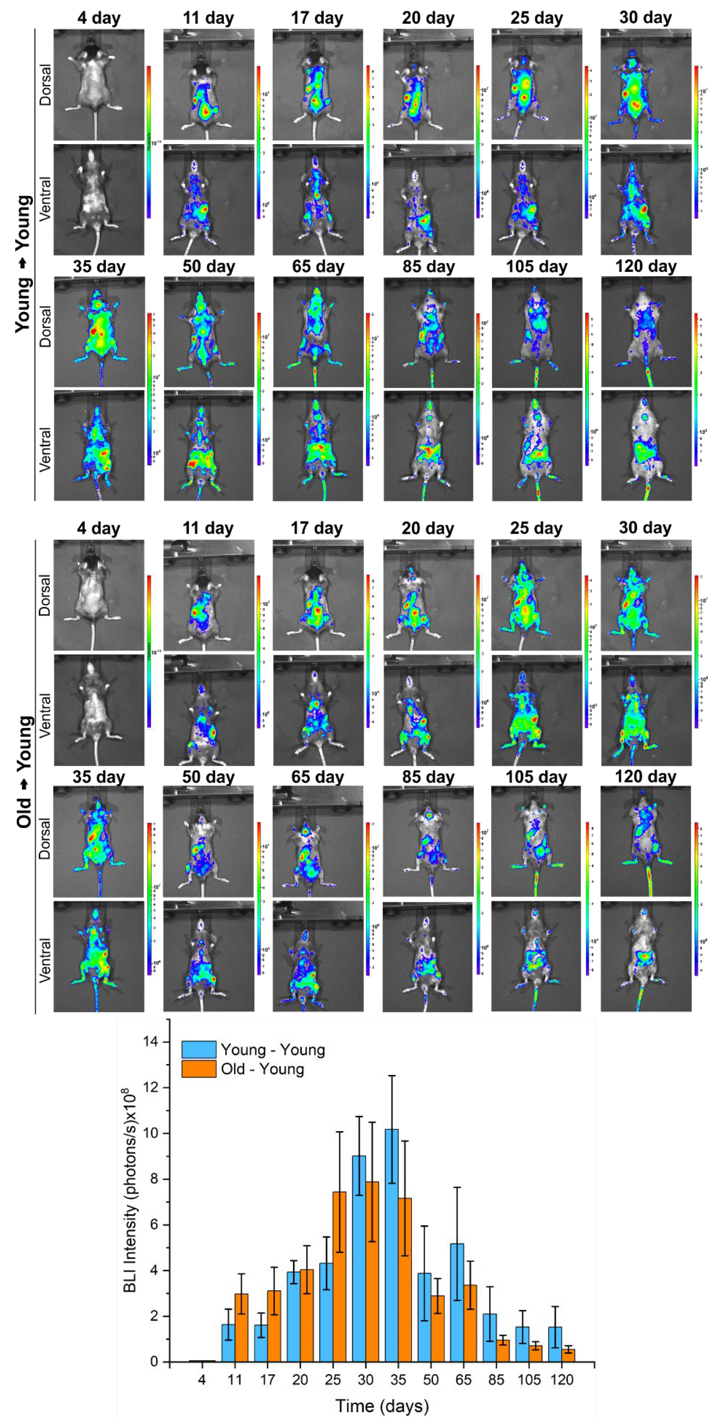 Biomedicines 09 00752 g009