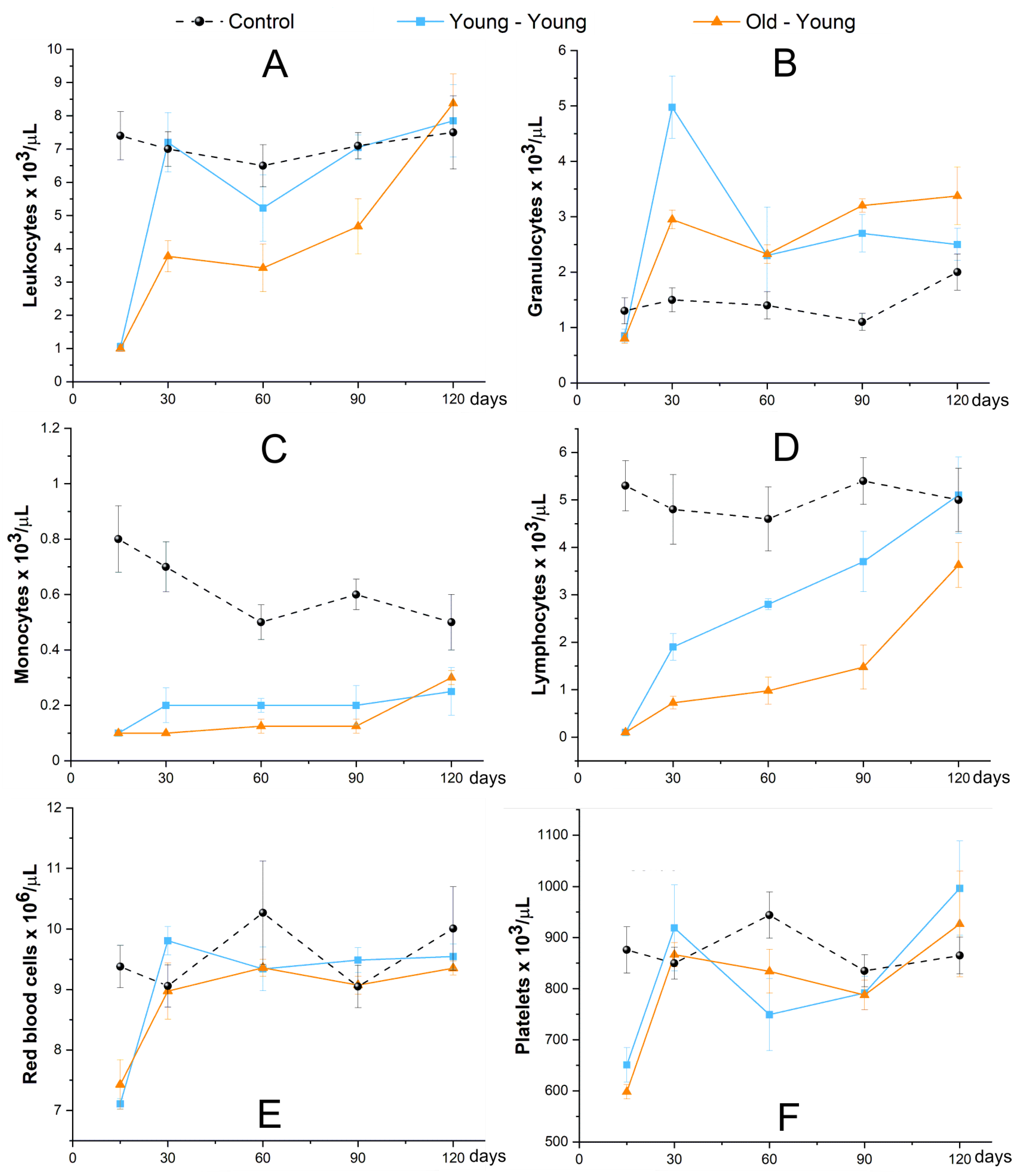 Biomedicines 09 00752 g012