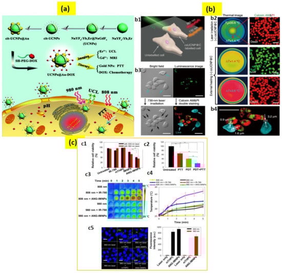 Biomedicines 09 00756 g005 550