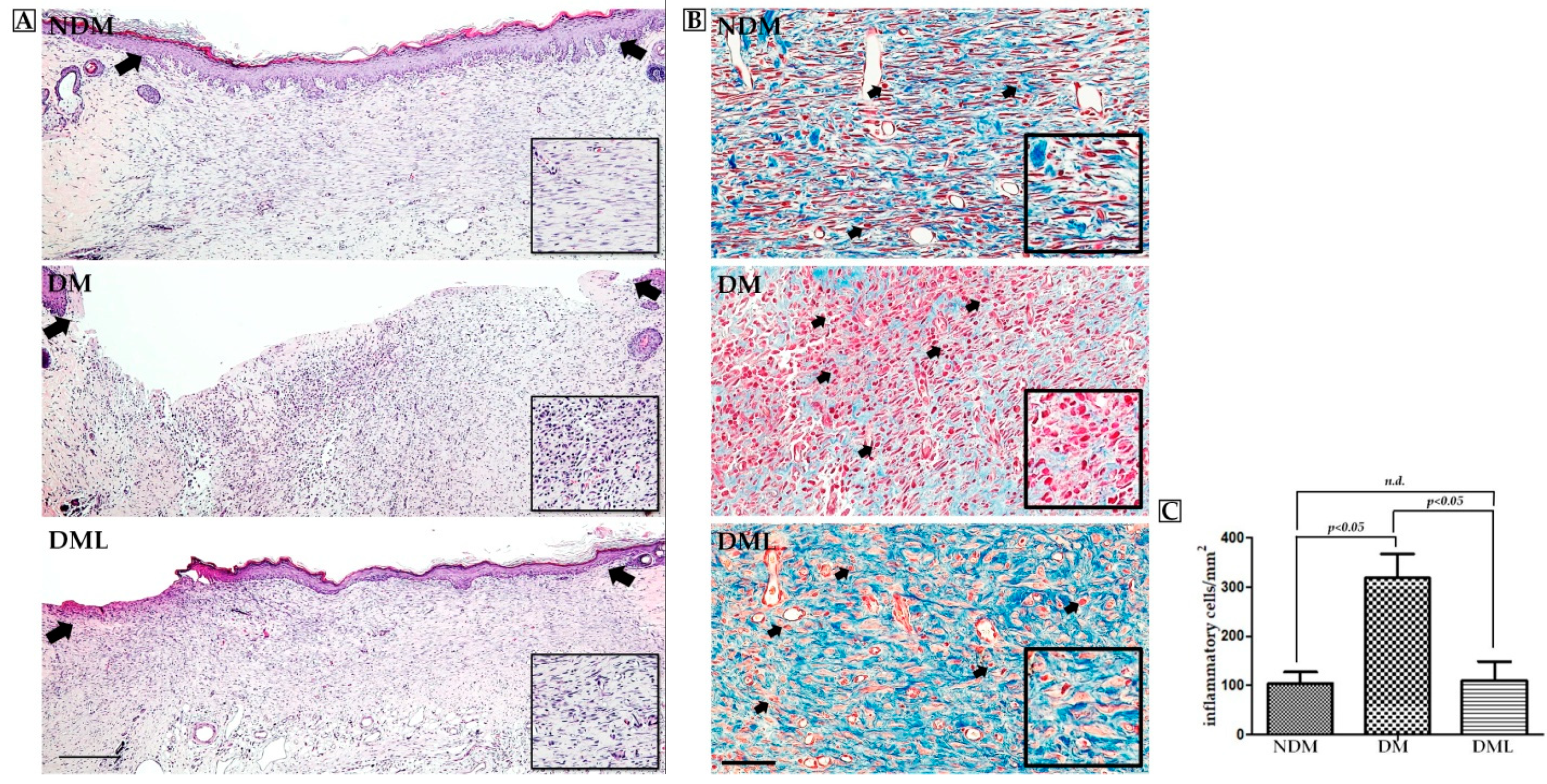 Biomedicines 09 00761 g003