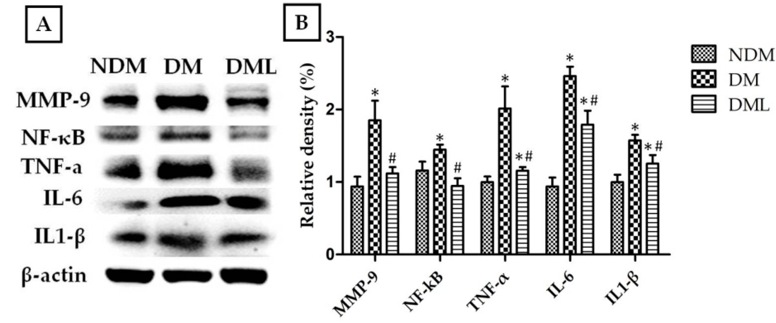 Biomedicines 09 00761 g004