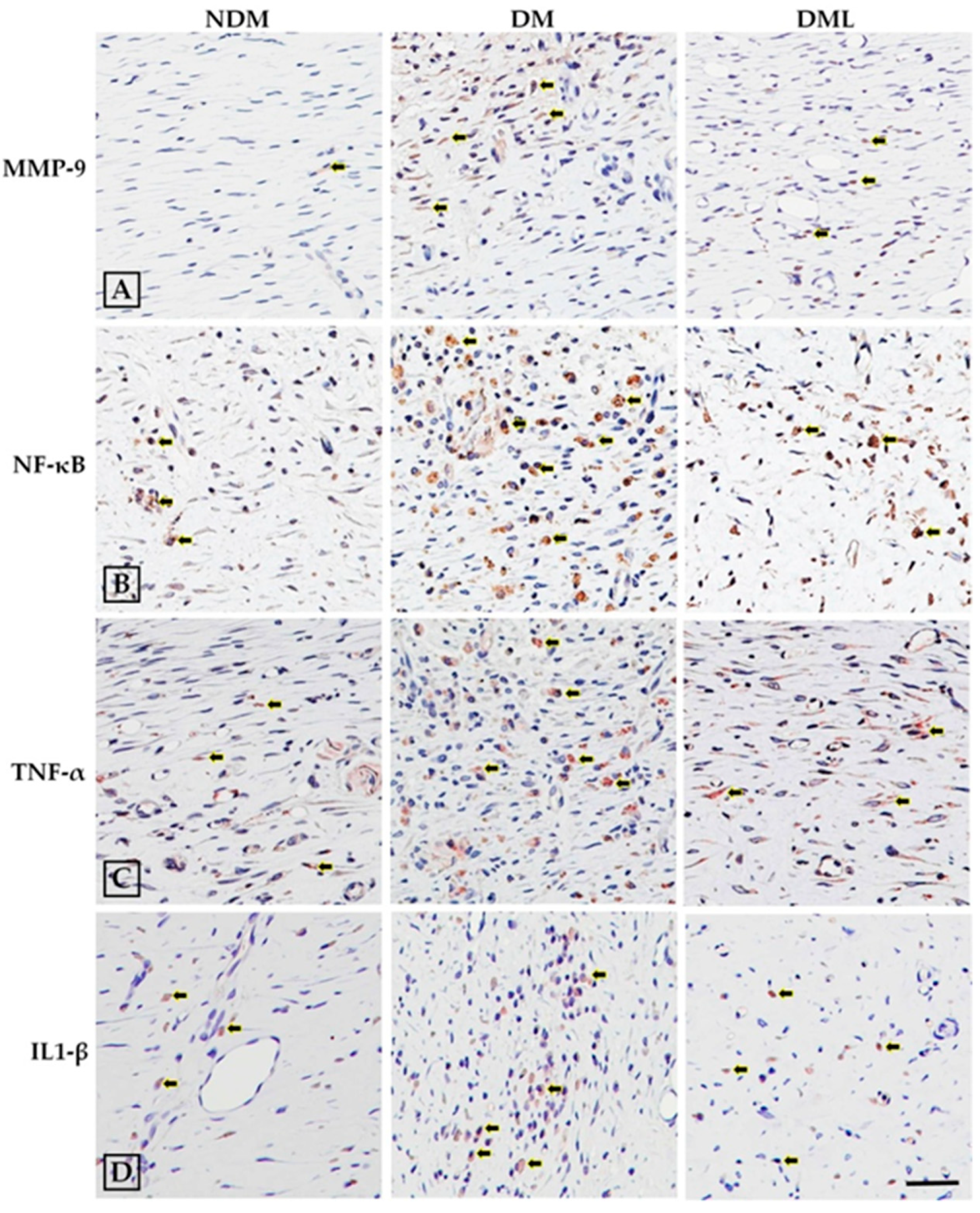 Biomedicines 09 00761 g005