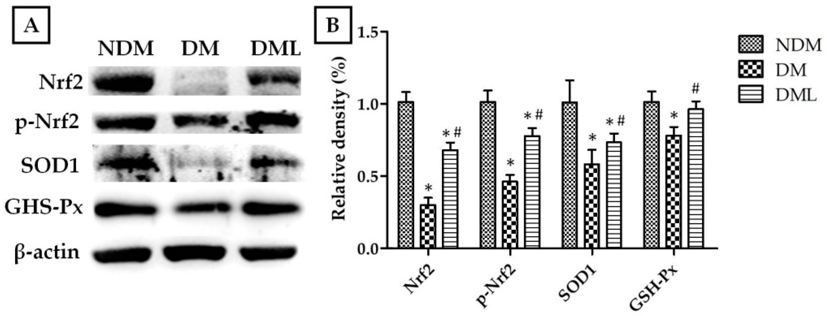 Biomedicines 09 00761 g006