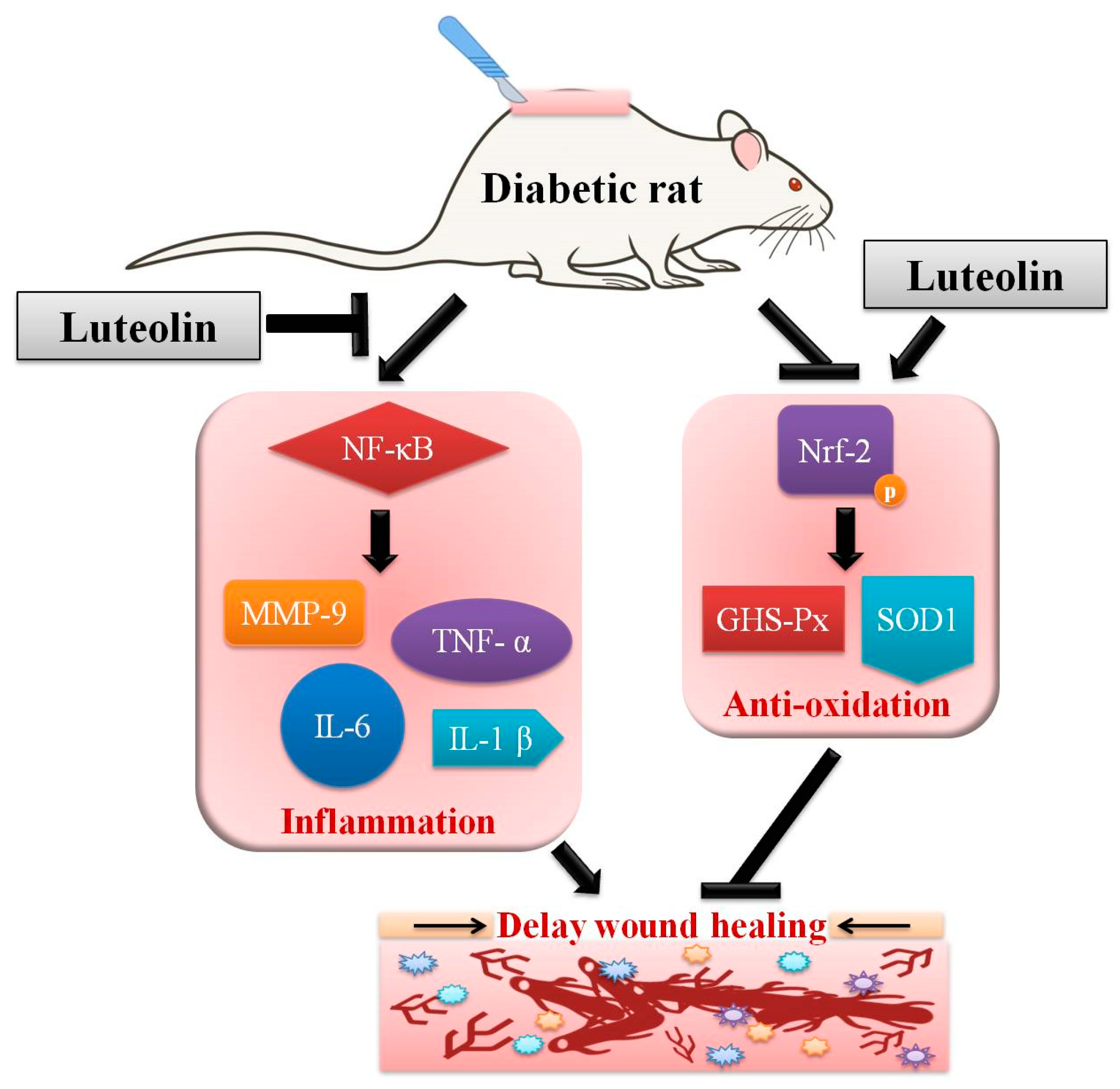 Biomedicines 09 00761 g008