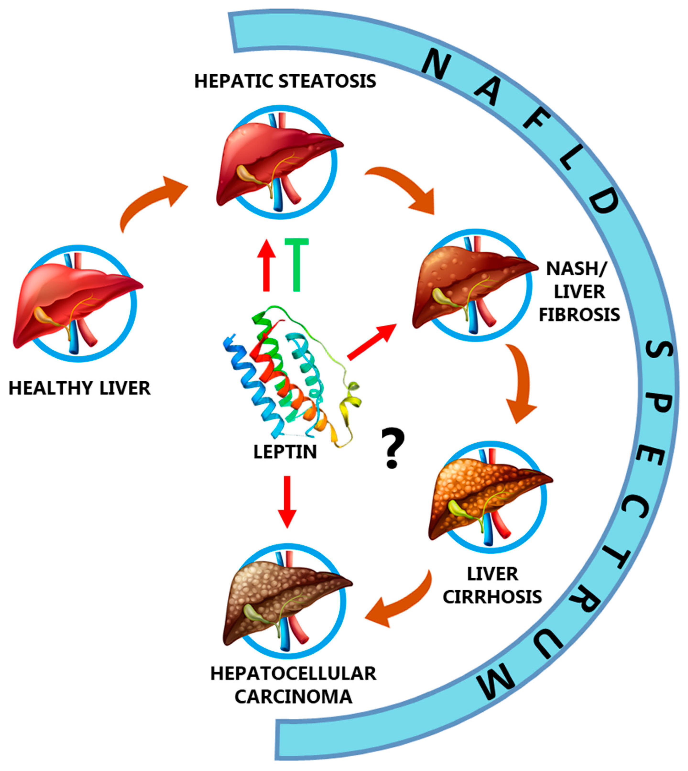 Biomedicines 09 00762 g002