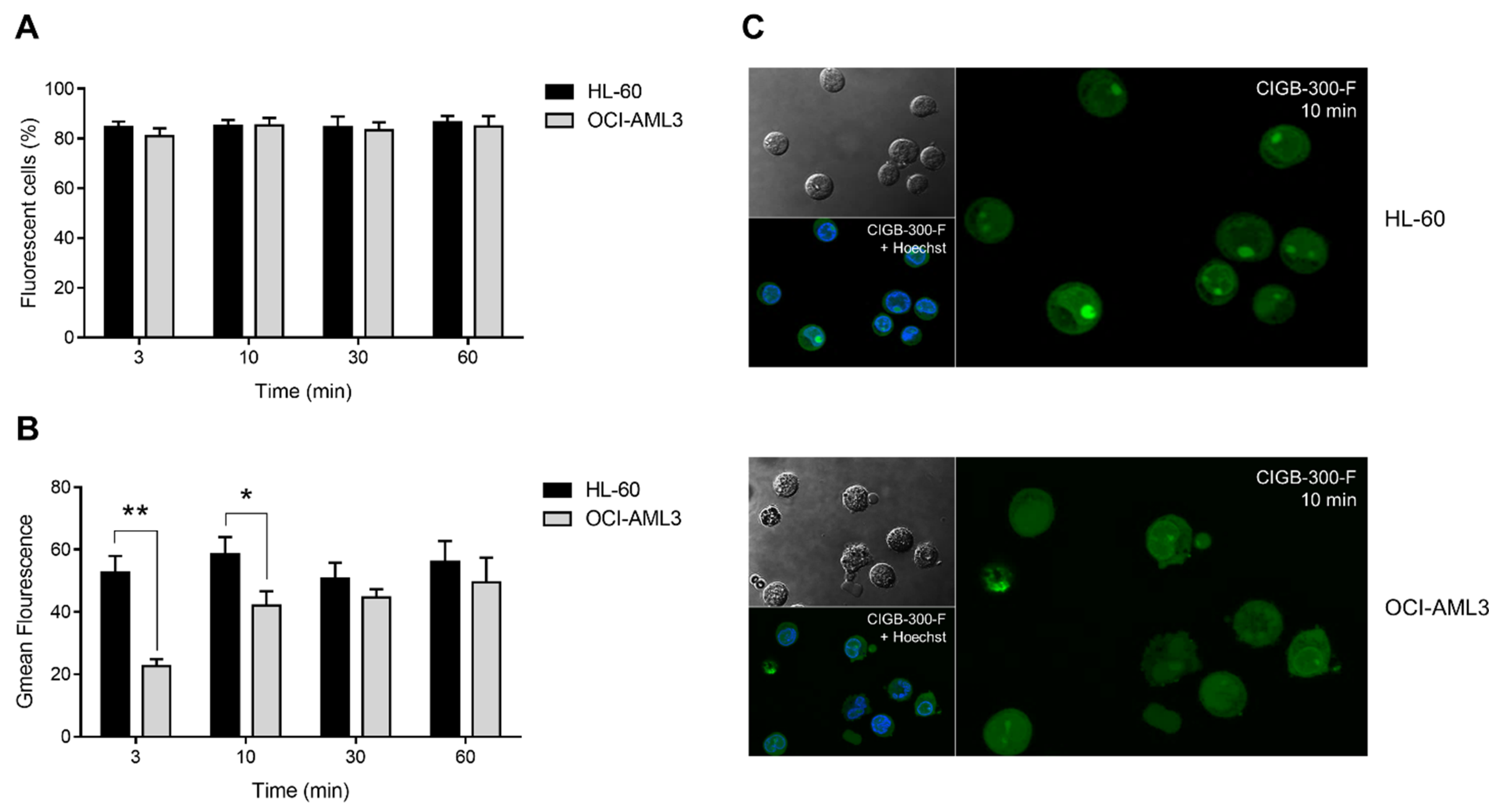 Biomedicines 09 00766 g002