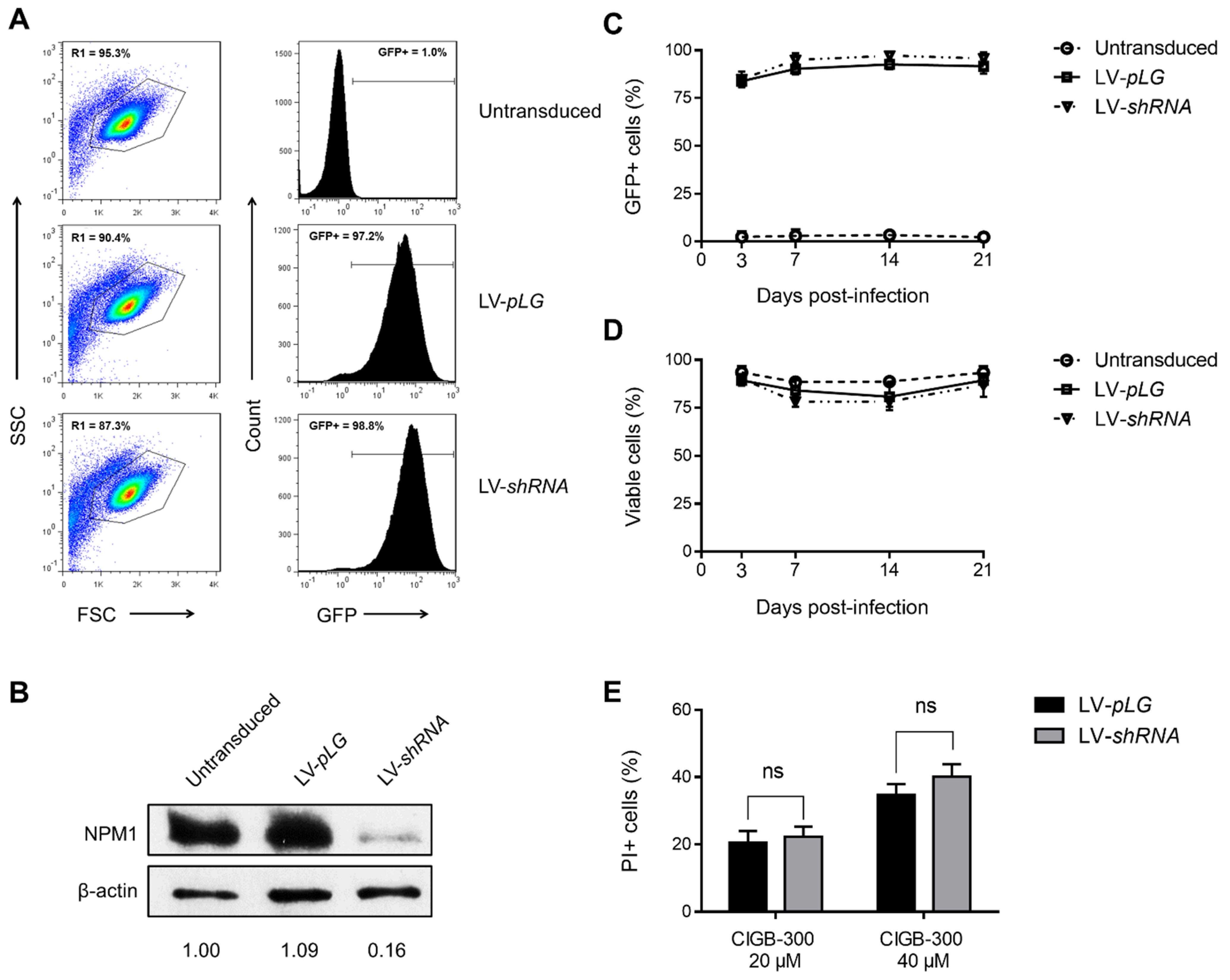 Biomedicines 09 00766 g004