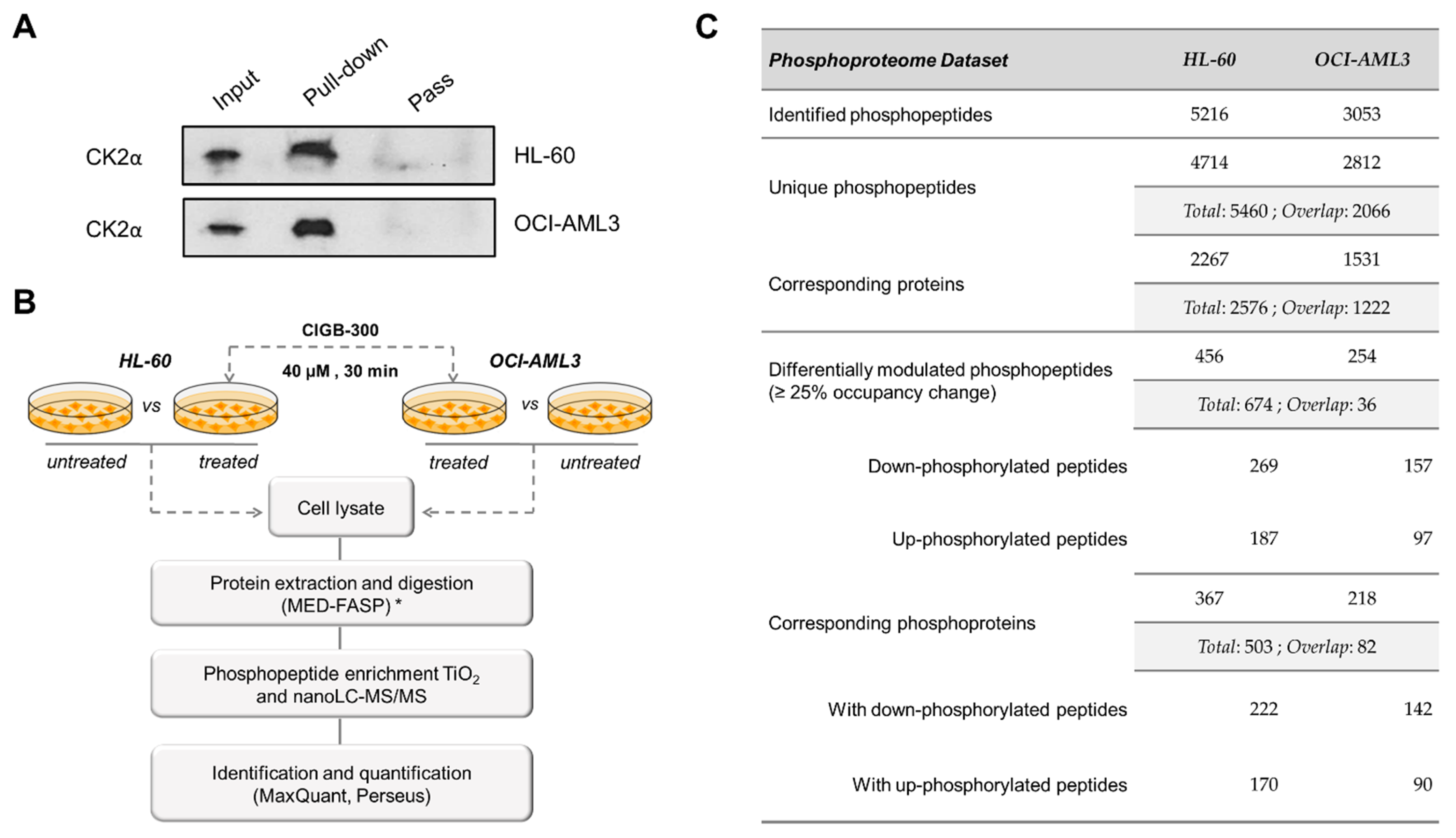 Biomedicines 09 00766 g005