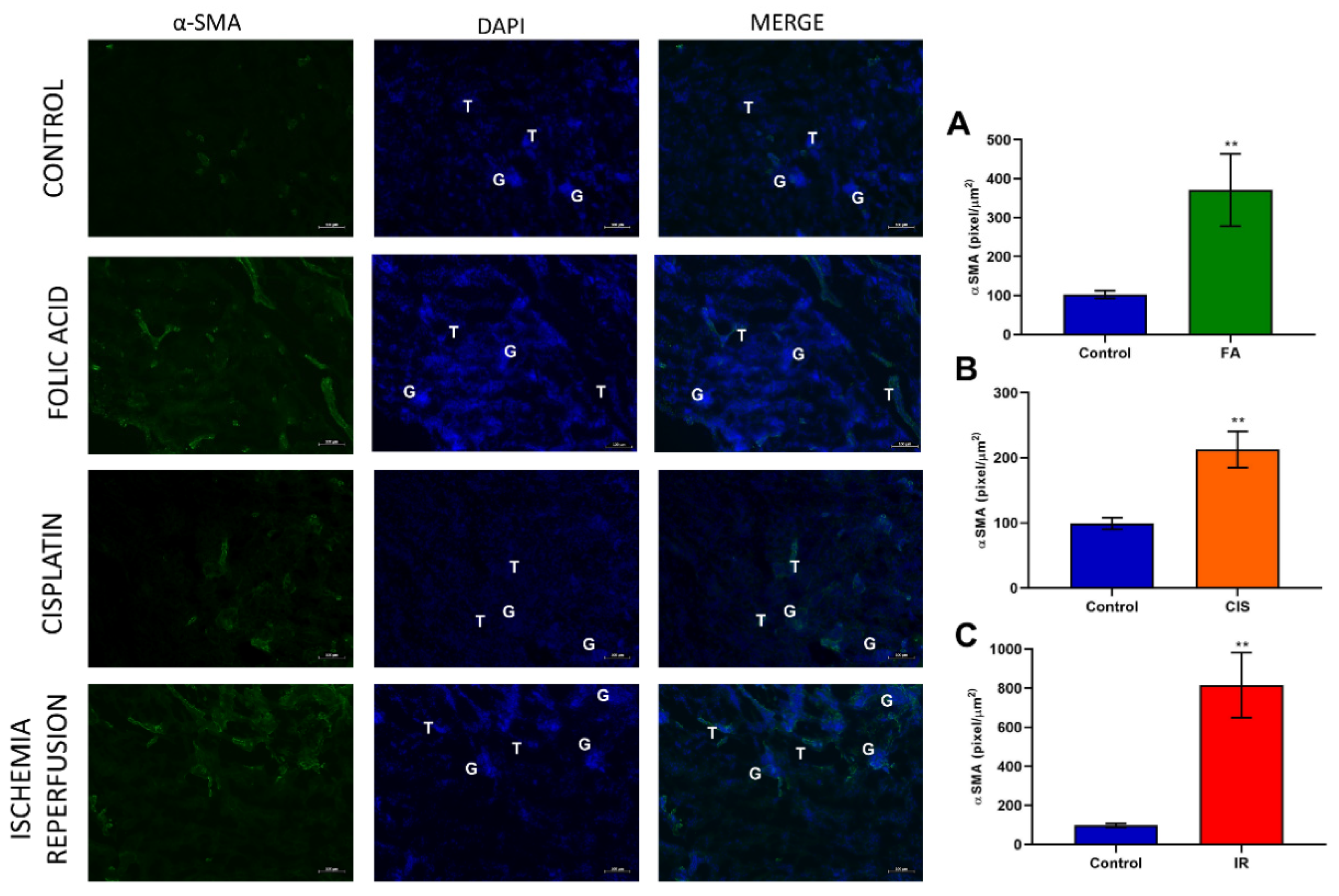 Biomedicines 09 00769 g004