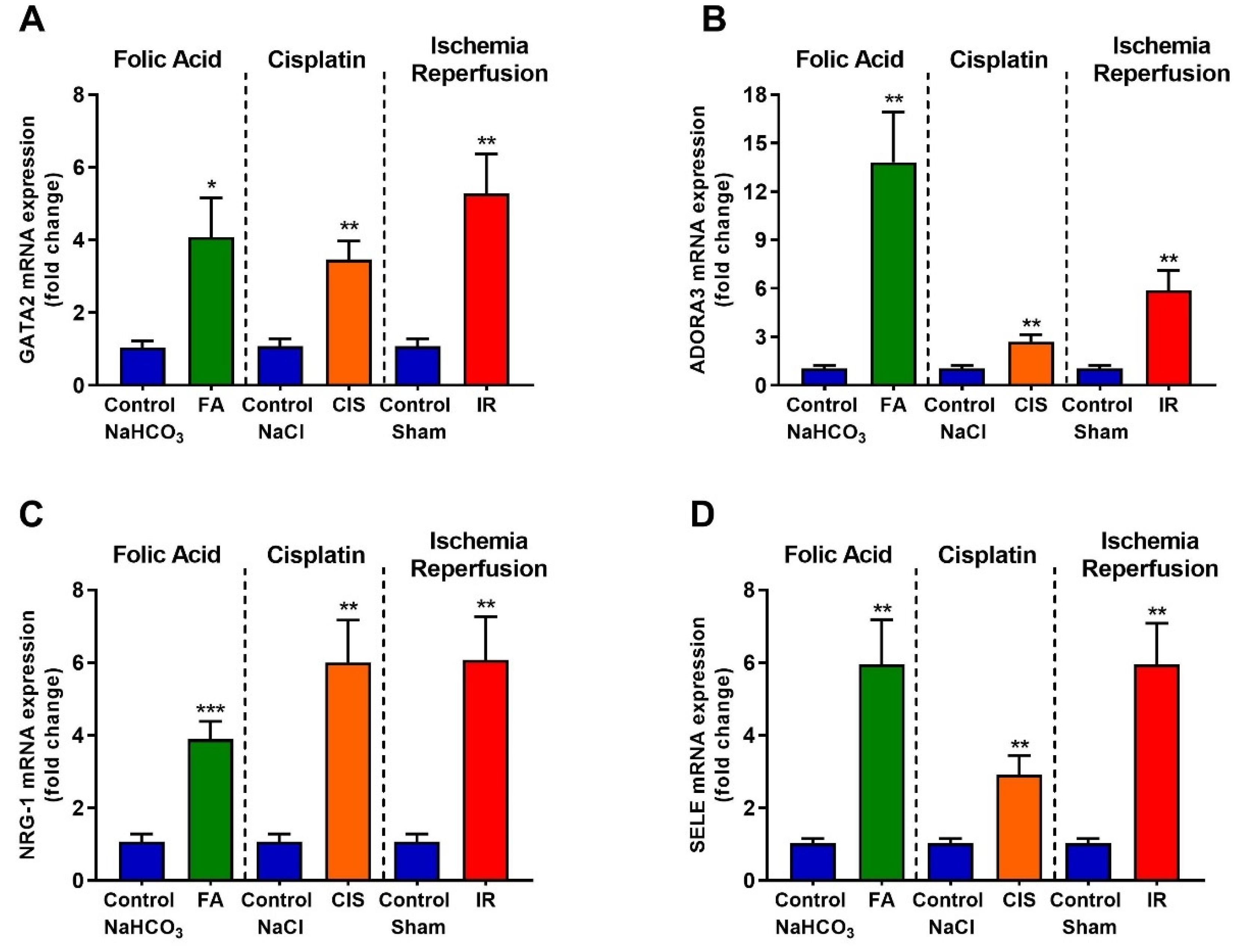 Biomedicines 09 00769 g007