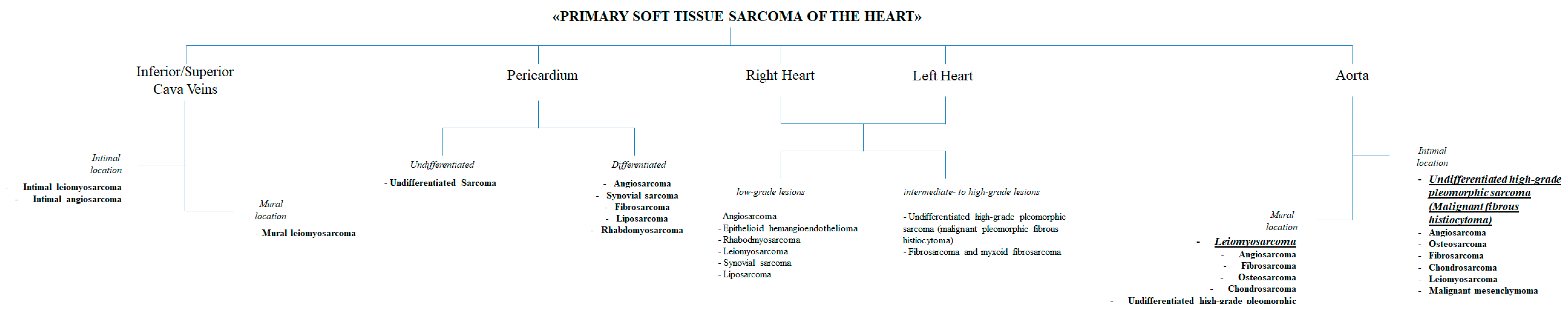 Biomedicines 09 00774 g001